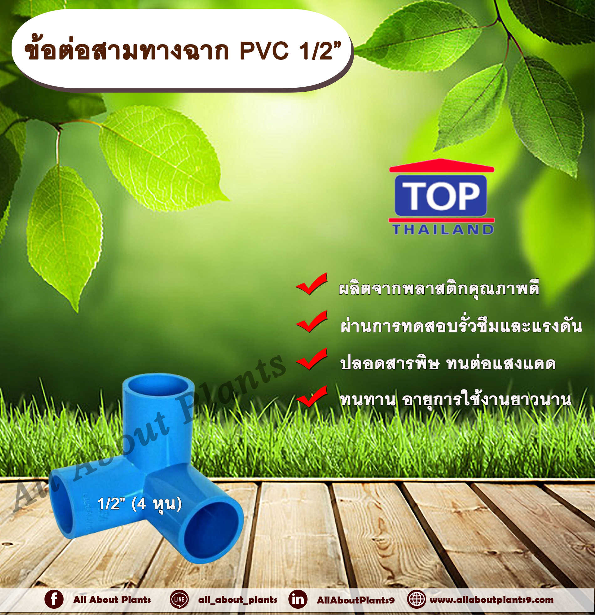 ข้อต่อสามทางฉาก PVC ตรา TOP 1/2”(4หุน) ข้อต่อสามทางฉากท่อPVC ขนาด 1/2นิ้ว หรือ 4หุน สามทางตั้งฉาก สามทางมุมฉาก allaboutplants ชิ้น