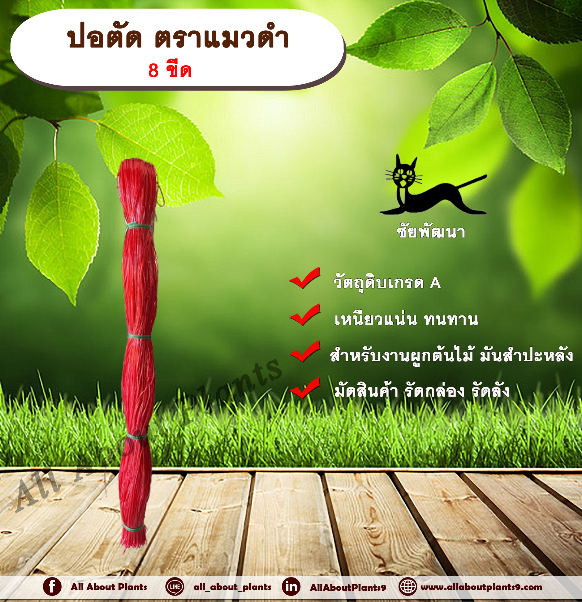 ปอตัด ตราแมวดำ 8 ขีด เชือกพลาสติกชนิดตัด เชือกผูกต้นไม้ มัดต้นมันสำปะหลัง เชือกมัดสินค้า รัดกล่อง มัดกล่อง รัดลัง มัดลัง มัดของทั่วไป เชือกตัด ชิ้น