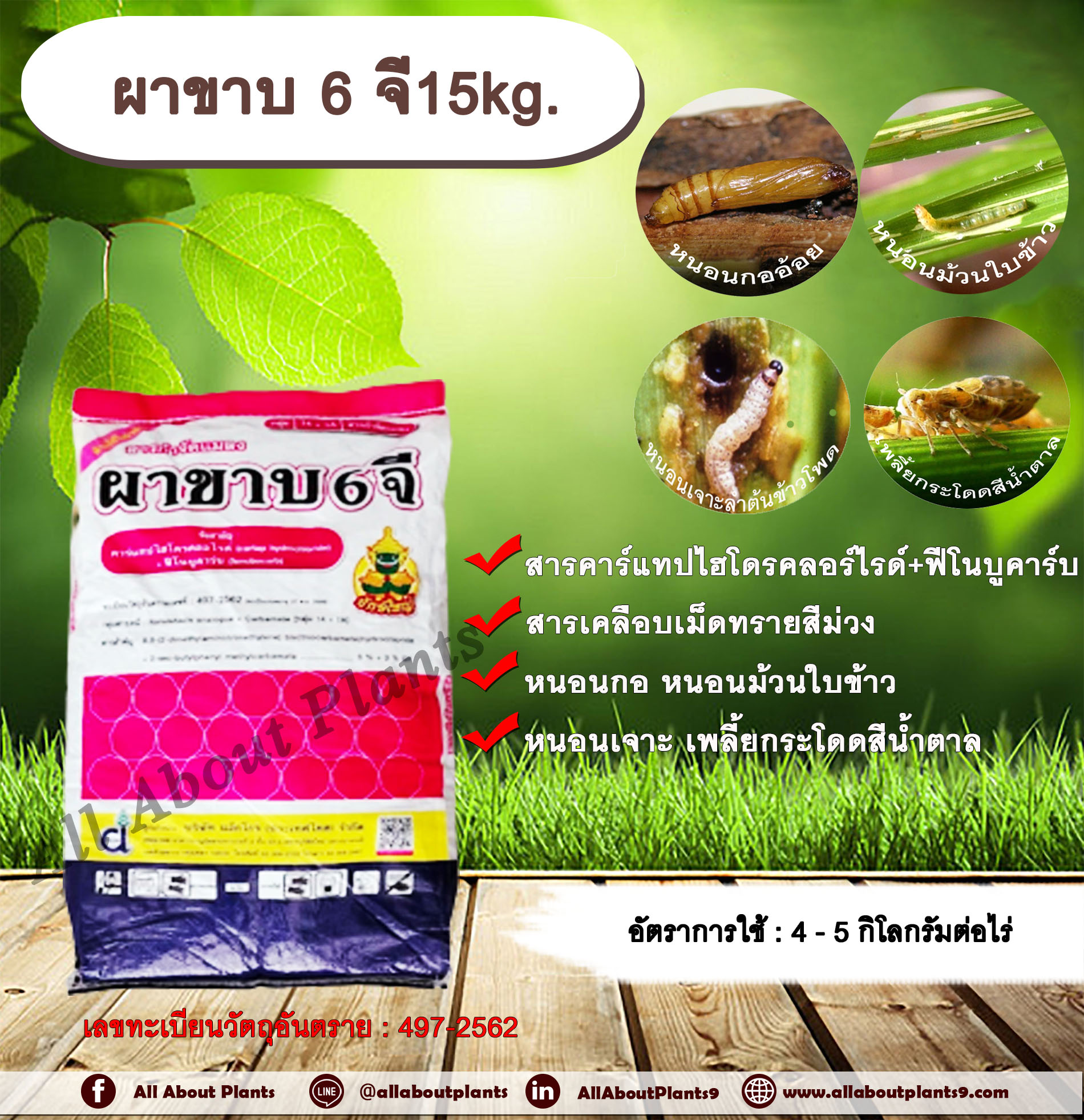 ผาขาบ 6 จี 15kg. คาร์แทปไฮโดรคลอร์ไรด์+ฟีโนบูคาร์บ สารกำจัดแมลง สารกำจัดหนอน หนอนกอ หนอนกอแถบลายม่วง หนอนกอข้าวสีชมพู หนอนกอข้าวสีครีม หนอนม้วนใบข้าว หนอนเจาะลำต้นข้าวโพด เพลี้ยกระโดดสีน้ำตาล กระสอบ