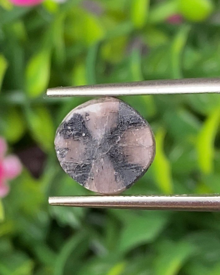 ไคแอสโทไลต์ Chiastolite 3.71 กะรัต (Cts.) พร้อมใบเซอร์ พลอยแท้ อัญมณีมงคลประจําวันเกิด เครื่องประดับพลอย