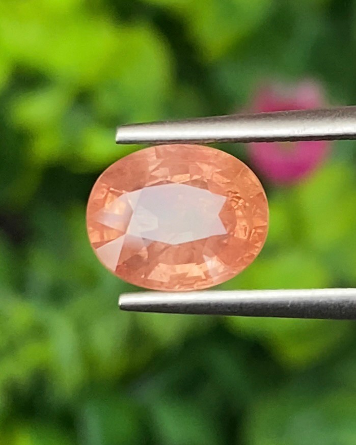 พลอย พัดพารัดชา Padparadscha Sapphire 2.45 กะรัต (Cts.) พร้อมใบเซอร์ พลอยแท้ อัญมณีมงคลประจําวันเกิด เครื่องประดับพลอย