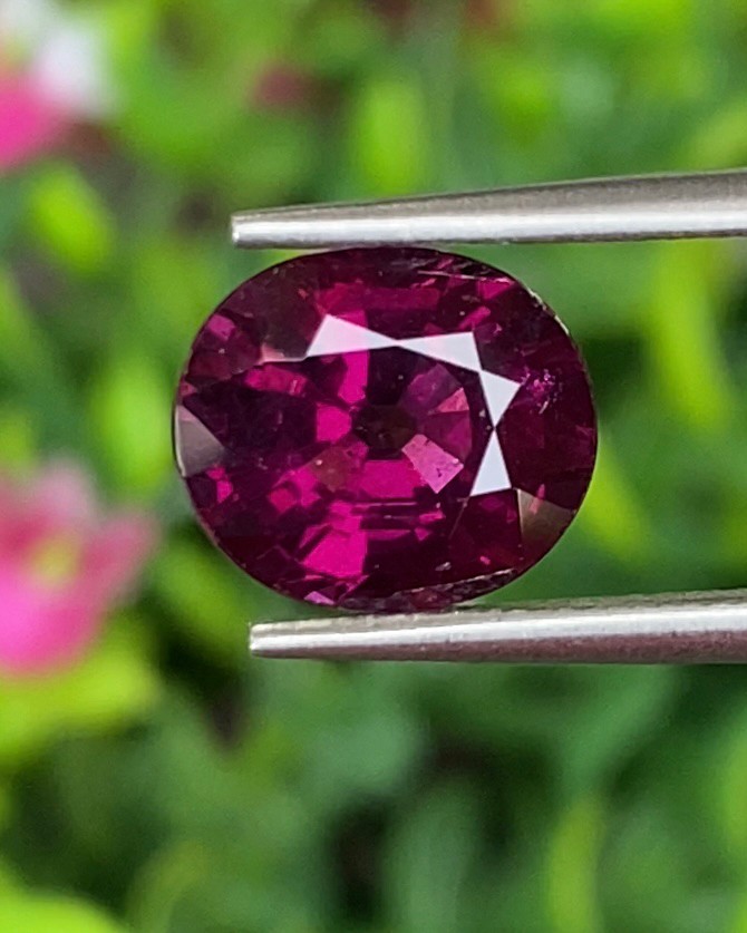 พลอย โรโดไลต์ กาเน็ท Rhodolite Garnet 3.67 กะรัต Cts.พลอยแท้ อัญมณีมงคลประจําวันเกิด เครื่องประดับพลอย