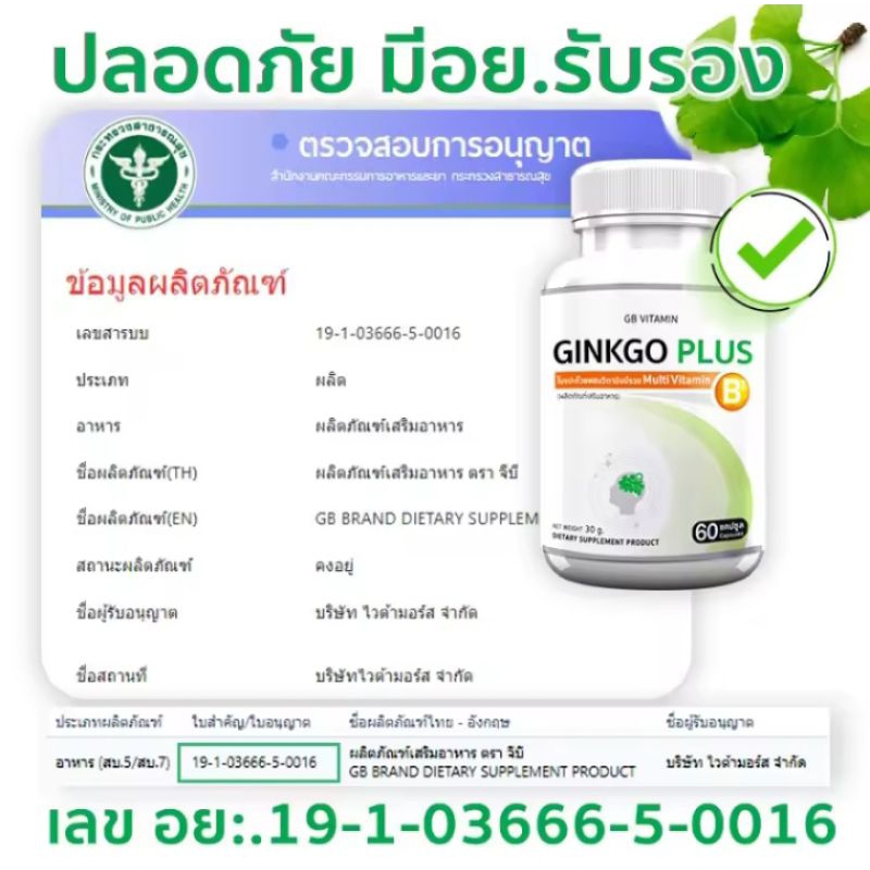 5 PV. GB Ginkgo Plus-B อาหารเสริม ใบแปะก๊วยผสมวิตามินบีรวม สารสกัดใบแปะก๊วย 60 แคปซูล