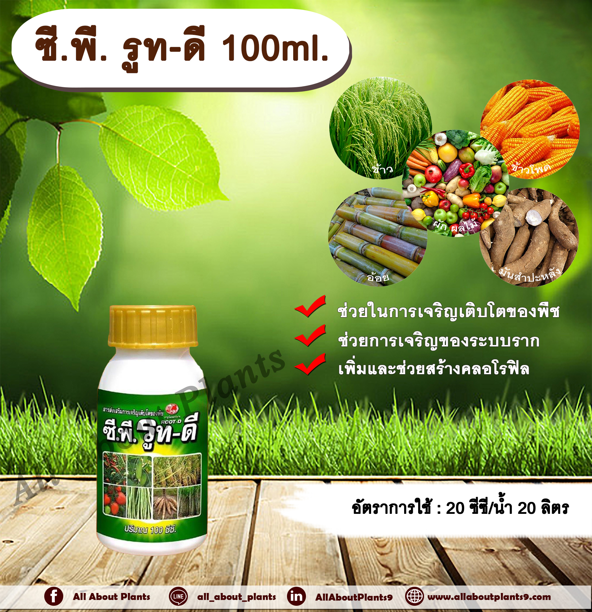 ซี.พี. รูท-ดี 100ml. เร่งราก รากแตกเยอะ ใบเขียว ขยายราก allaboutplnats ชิ้น