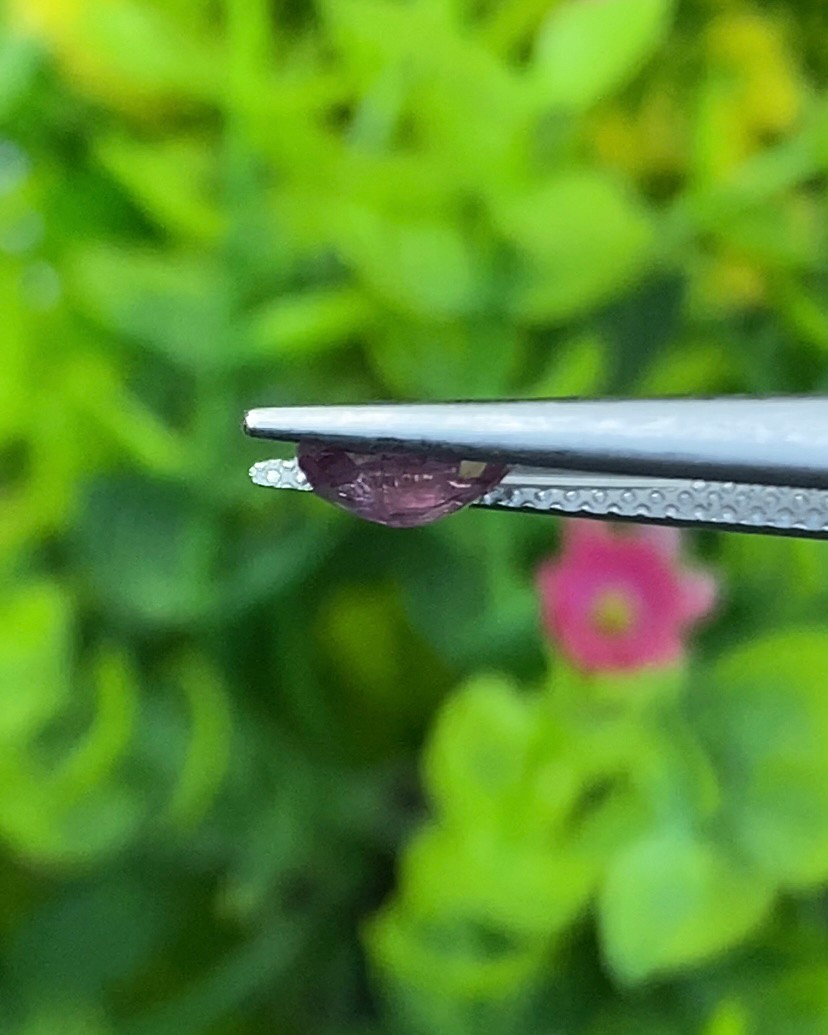 พลอย เพอเพิล แซฟไฟร์ สีม่วง Purple Sapphire ดิบ Unheated 0.80 กะรัต (Cts.) พลอยแท้ อัญมณีมงคลประจําวันเกิด เครื่องประดับพลอย