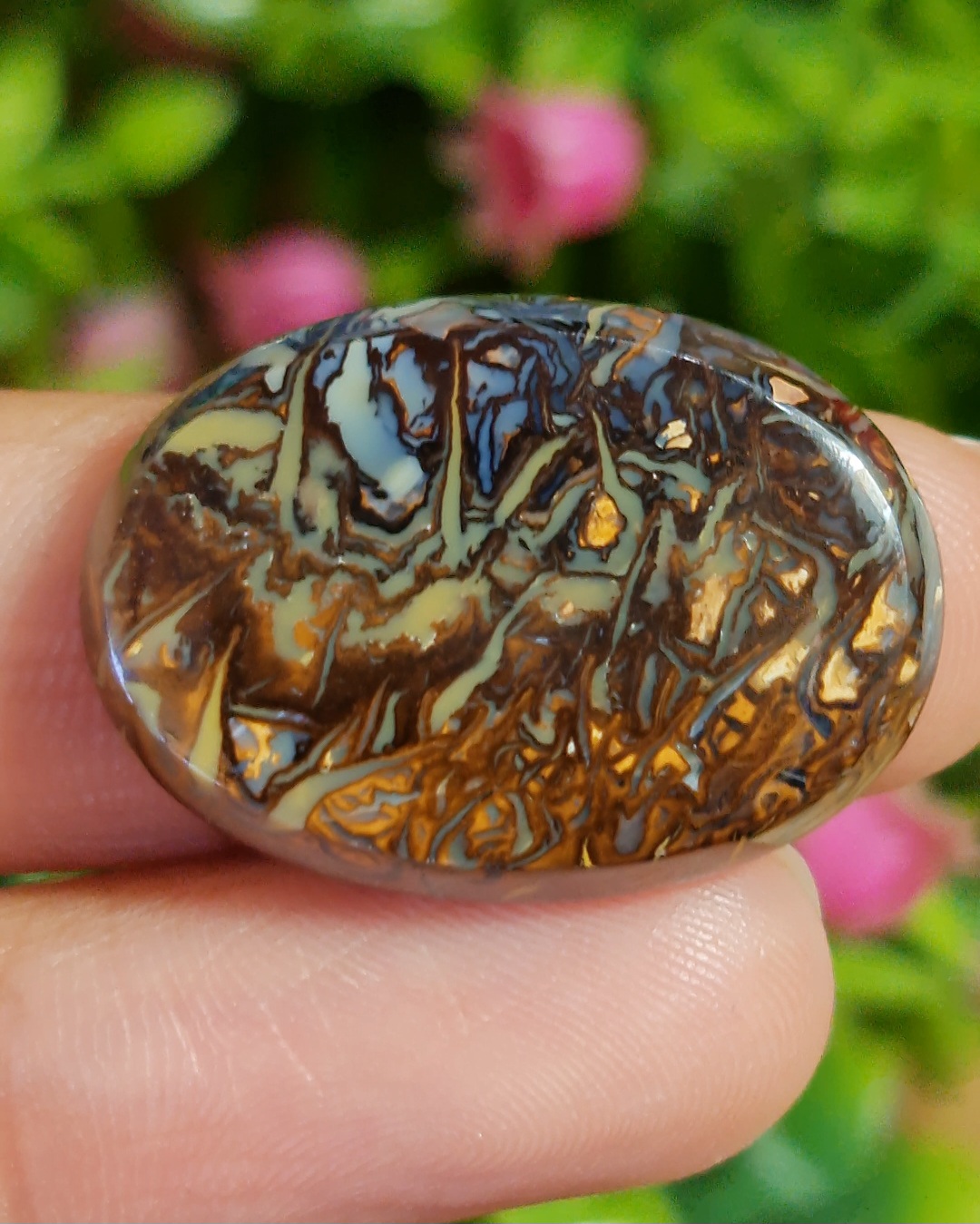 พลอย โบลเดอร์ โอปอล ออสเตรเลีย Australian Boulder Opal 26.9 กะรัต (Cts.) พลอยแท้ อัญมณีมงคลประจําวันเกิด เครื่องประดับพลอย