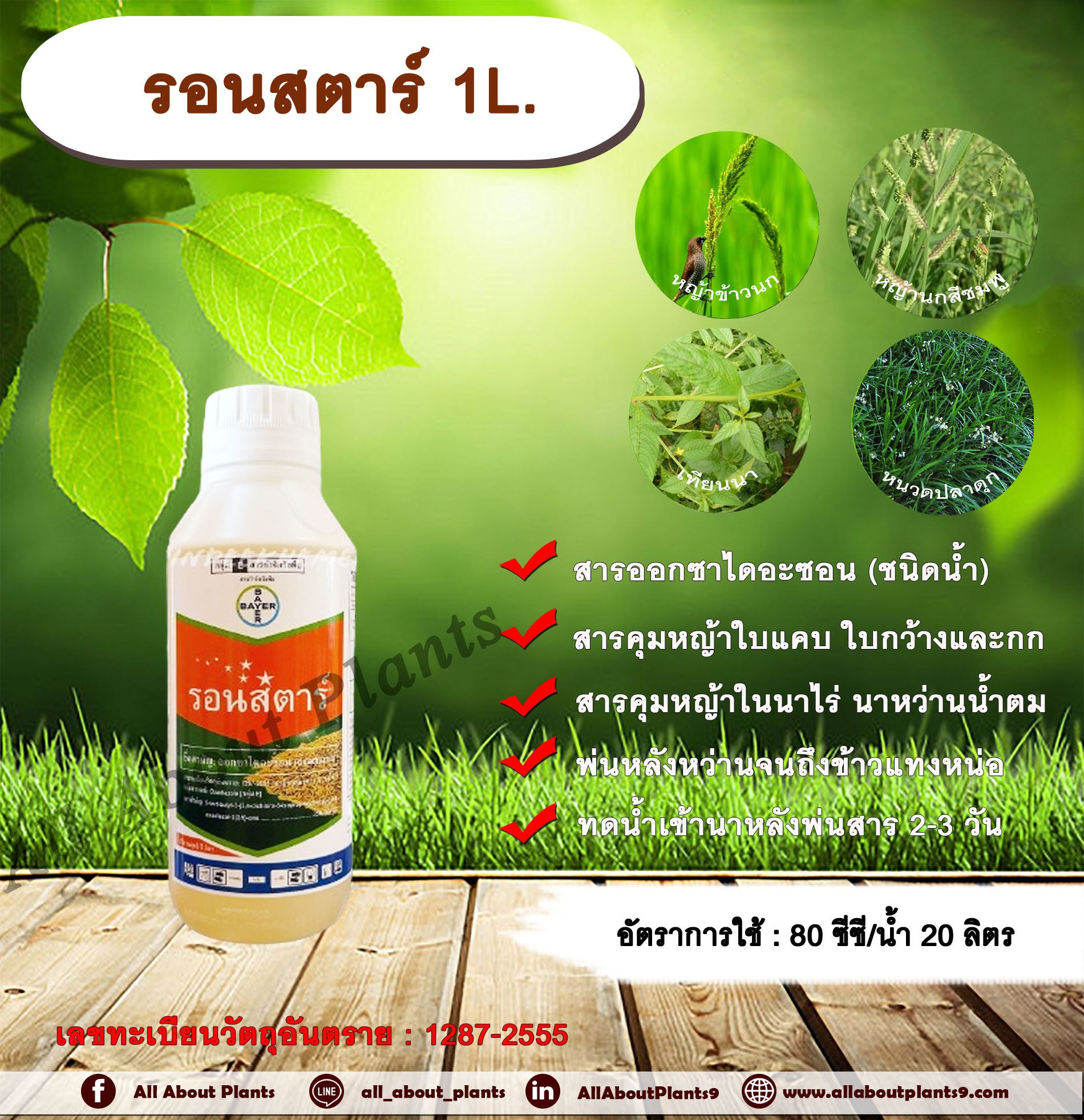 รอนสตาร์ 1L. สารออกซาไดอะซอน สารคุมหญ้า คุมวัชพืช คุมหญ้าในนาข้าว คุมหญ้าใบแคบ คุมหญ้าใบกว้าง คุมกก พ่นได้ทั้งดินแห้ง และดินเปียก หญ้าข้าวนก หญ้านกสีชมพู หญ้าปากควาย หญ้าดอกขาว เทียนนา หนวดปลาดุก กก กกทราย ขวด