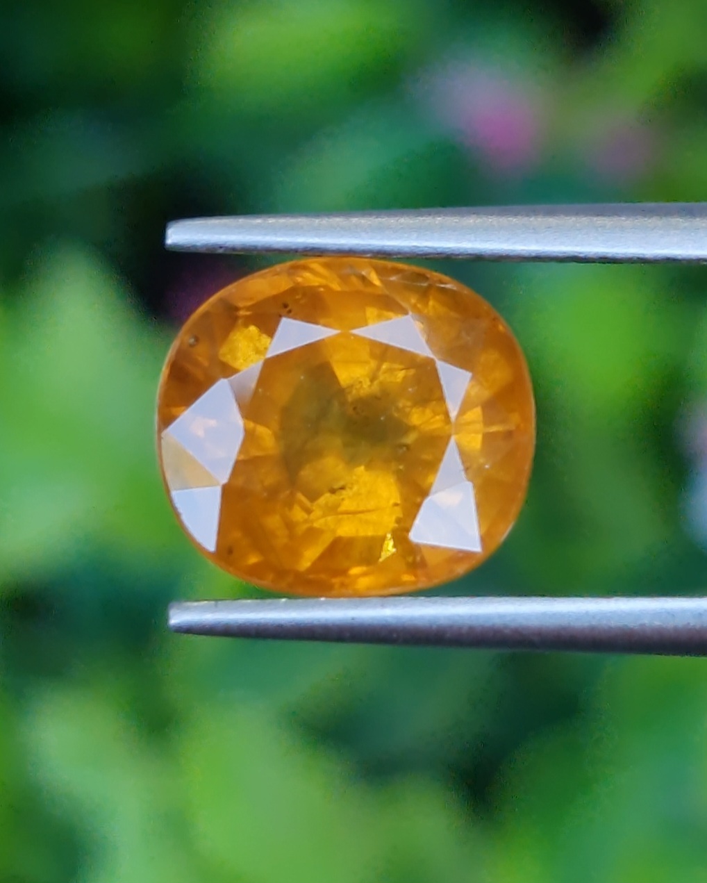 พลอย บุษราคัม Yellow Sapphire 4.66 กะรัต (Cts.) พลอยแท้ อัญมณีมงคลประจําวันเกิด เครื่องประดับพลอย