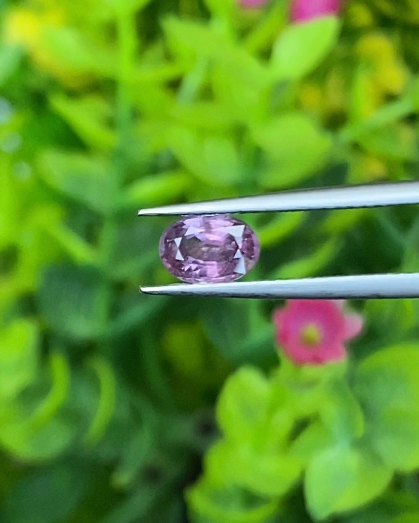 พลอย เพอเพิล แซฟไฟร์ สีม่วง Purple Sapphire ดิบ Unheated 0.80 กะรัต (Cts.) พลอยแท้ อัญมณีมงคลประจําวันเกิด เครื่องประดับพลอย