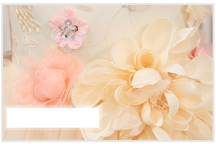 Pre-order ชุดราตรีเด็ก ชุดออกงาน ชุดกระโปรง สไตล์เจ้าหญิง แขนกุด แต่งดอกไม้สามมิติทั้งชุด มีซิปหลัง