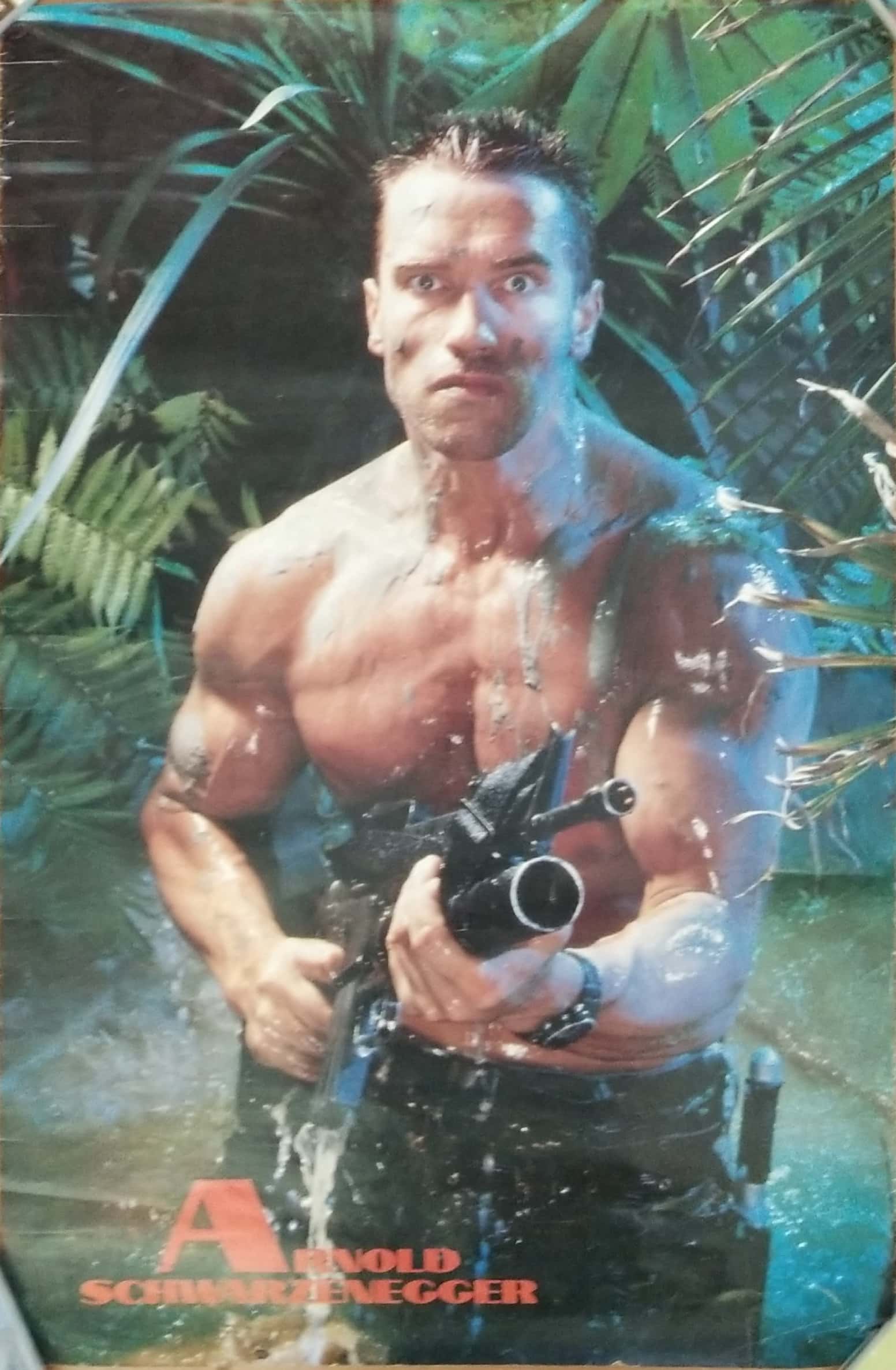 ภาพโปสเตอร์เก่า อาร์โนลด์ ชวาร์เซเน็กเกอร์, มือ2 Arnold Schawarzenegger **มีตำหนิ โปรดดูทุกภาพ