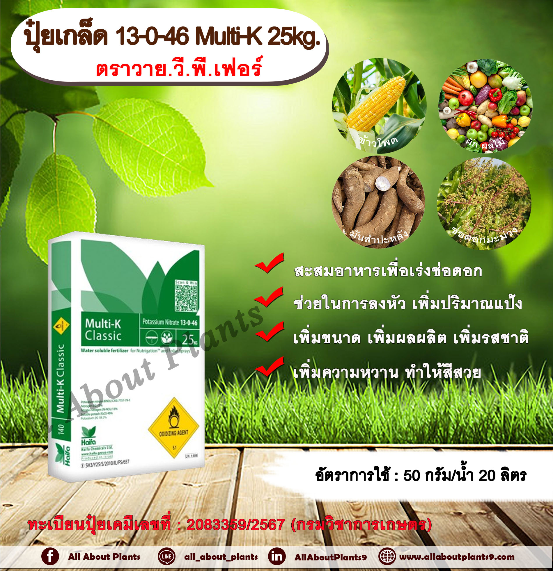 ปุ๋ยเกล็ด 13-0-46 Multi-K 25kg.ตราวาย.วี.พี.เฟอร์ ปุ๋ยเกล็ด สะสมอาหารเพื่อเร่งช่อดอก แตกตาดอก ลงหัว เพิ่มปริมาณแป้ง เพิ่มเปอร์เซ็นต์แป้ง เพิ่มขนาด เพิ่มผลผลิต เพิ่มรสชาติ เพิ่มความหวาน สีสวย โพแทสเซียมไนเตรท ชิ้น