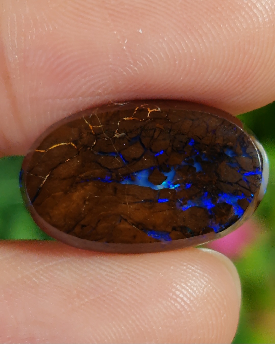 พลอย โบลเดอร์ โอปอล ออสเตรเลีย Australian Boulder Opal 9.85 กะรัต (Cts.) พลอยแท้ อัญมณีมงคลประจําวันเกิด เครื่องประดับพลอย