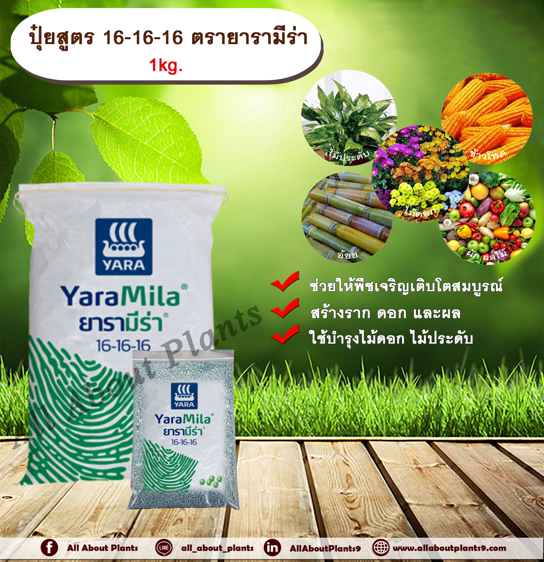 ปุ๋ยสูตร 16-16-16 ตรายารามีร่า 1kg. ช่วยให้พืชเจริญเติบโต ใบสีเขียวสด เร่งต้น เร่งดอก เร่งผล ปุ๋ยสูตรเสมอ ปุ๋ยใส่ดิน NPK allaboutplants ชิ้น
