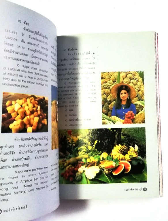 หนังสือท่องเที่ยว จังหวัด ชลบุรี ,ทะเลงาม ข้าวหลามอร่อย อ้อยหวาน จักรสานดี ประเพณีวิ่งควาย ภาพสีทั้งเล่ม