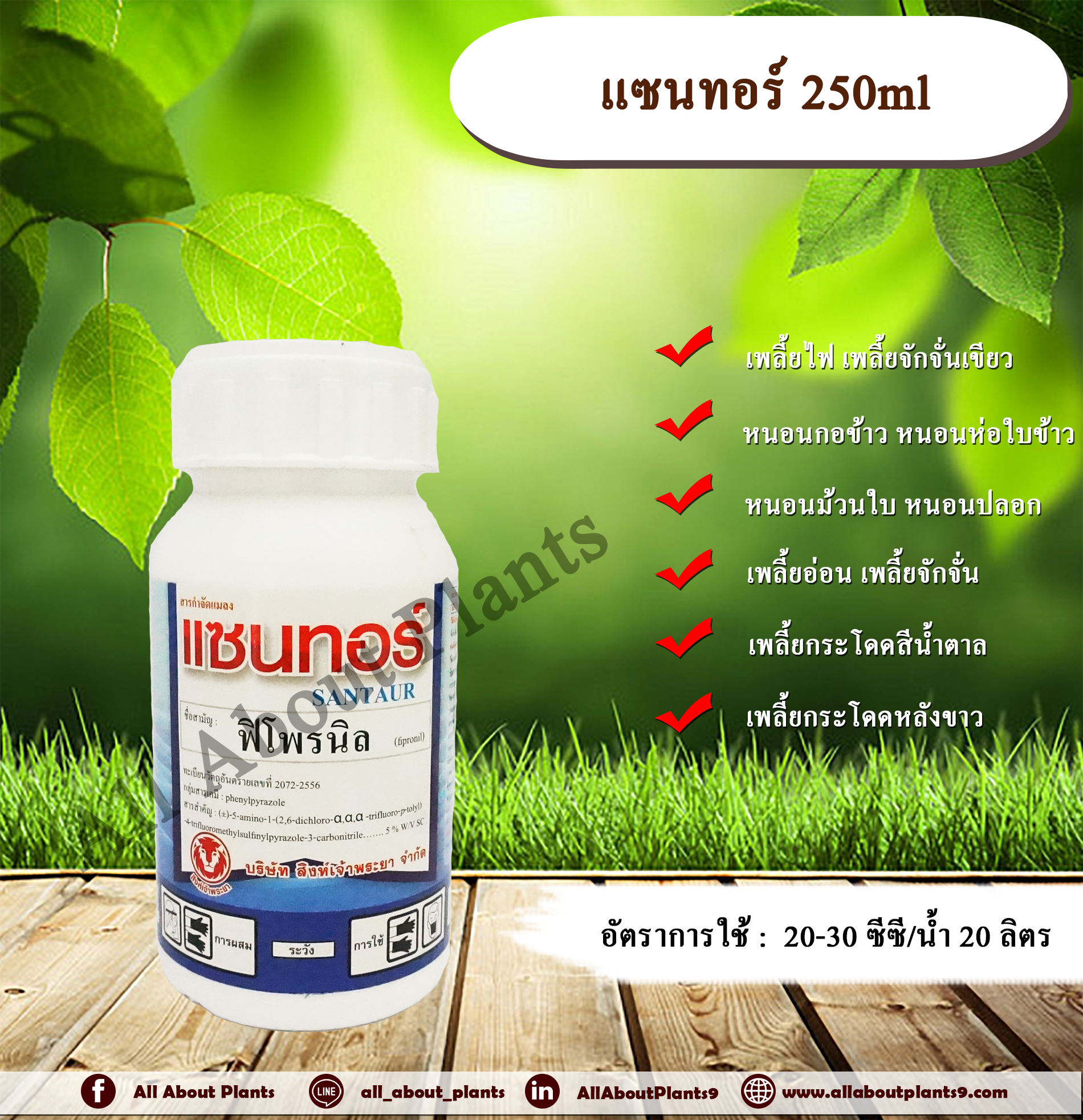 แซนทอร์ 250ml. ฟิโพรนิล สารกำจัดแมลง เพลี้ยไฟ หนอนชอนใบ หนอนม้วนใบ หนอนกอ หนอนเจาะ ปลวก กำจัดปลวก ราดปลวก ด้วง ดูดซึม allaboutplants ชิ้น