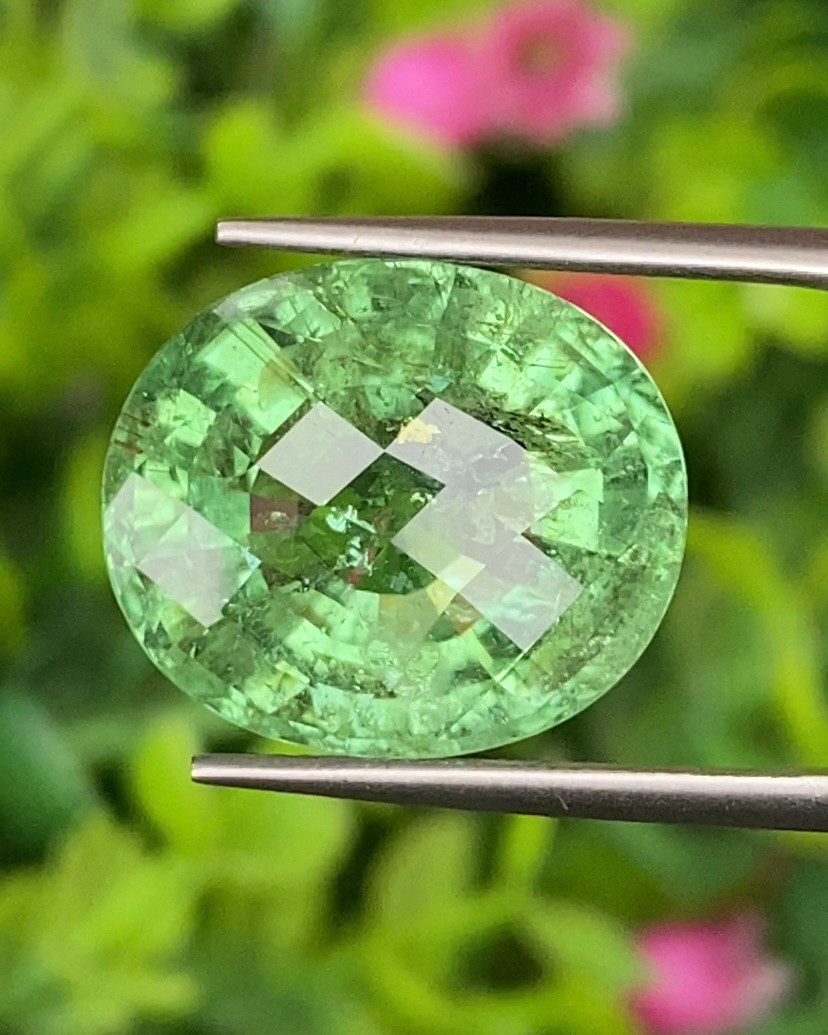 พลอย พาไรบ้า ทัวร์มาลีน Paraiba Tourmaline 13.99 กะรัต (Cts.) พร้อมใบเซอร์ พลอยแท้อัญมณีมงคล ประจําวันเกิด เครื่องประดับพลอย