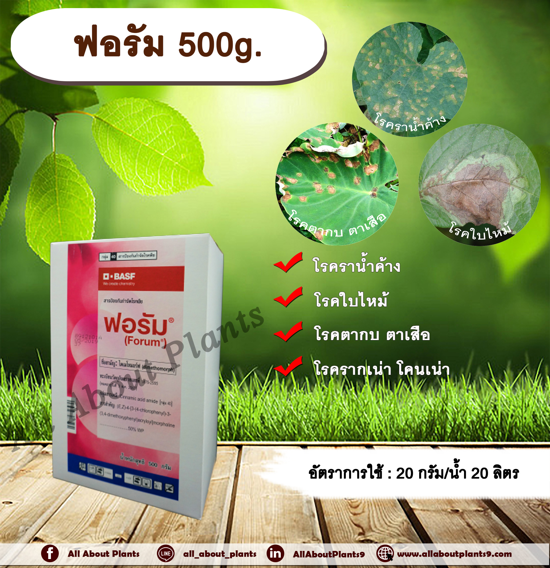 ฟอรัม 500g. ไดเมโทมอร์ฟ สารกำจัดโรคเชื้อรา โรคราน้ำค้าง โรคใบไหม้ โรคตากบตาเสือ โรคพืช เชื้อรา โรคแตงกวา แตงโม แคนตาลูป allaboutplants ชิ้น