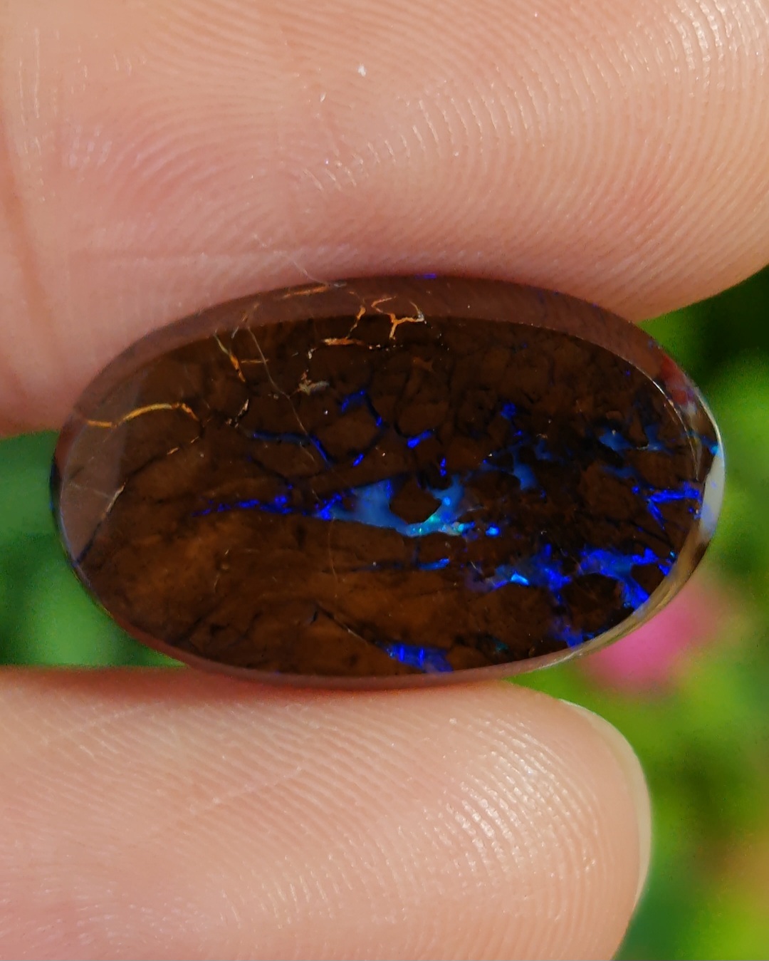 พลอย โบลเดอร์ โอปอล ออสเตรเลีย Australian Boulder Opal 9.85 กะรัต (Cts.) พลอยแท้ อัญมณีมงคลประจําวันเกิด เครื่องประดับพลอย