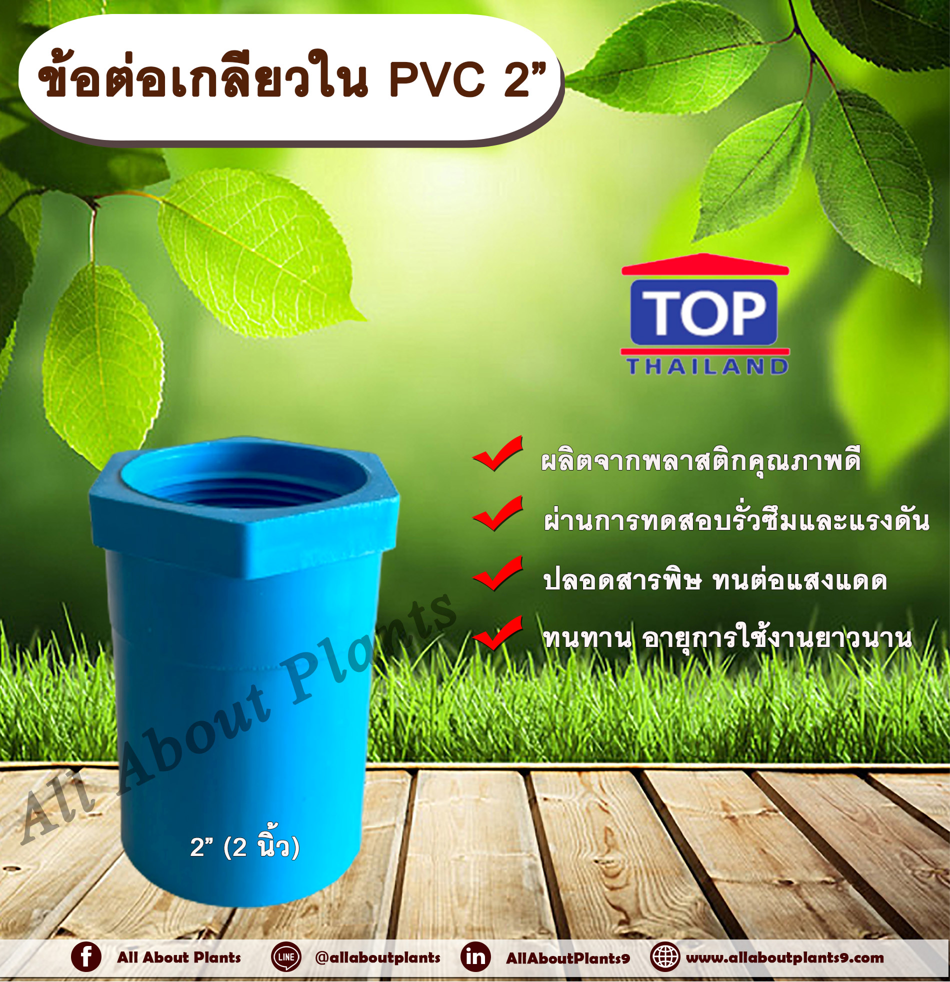 ข้อต่อเกลียวใน PVC ตรา TOP 2” ข้อต่อท่อPVC ข้อต่อเกลียวใน ต่อตรงเกลียวใน ต่อตรงเกลียวใน 2 นิ้ว ข้อต่อพีวีซี ข้อต่อPVC ต่อตรงพีวีซี ต่อตรงPVC ชิ้น