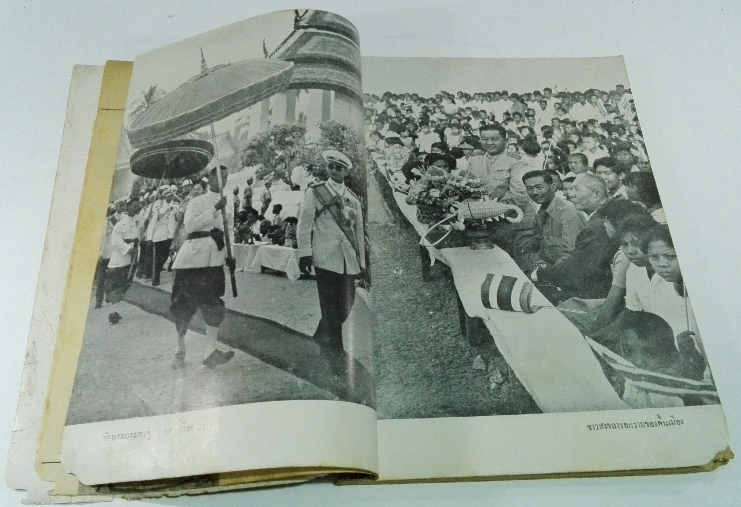 นิตยสารเก่า "ชาวกรุง เดือน พฤษภาคม ปี 2502" ภาพปกโดย นพรัตน์ **นิตยสารเก่ามีตำหนิ โปรดตรวจสอบทุกภาพ เรื่องเก่าเล่าอดีตที่น่าสนใจ นักเขียนรุ่นเก่าผู้ทรงคุณวุฒิ ภาพถ่ายเก่าพร้อมเรื่องราวบนกระดาษมัน และกระดาษปรู๊ฟเก่า และที่น่าสะสมสำหรับผู้รักลายเส