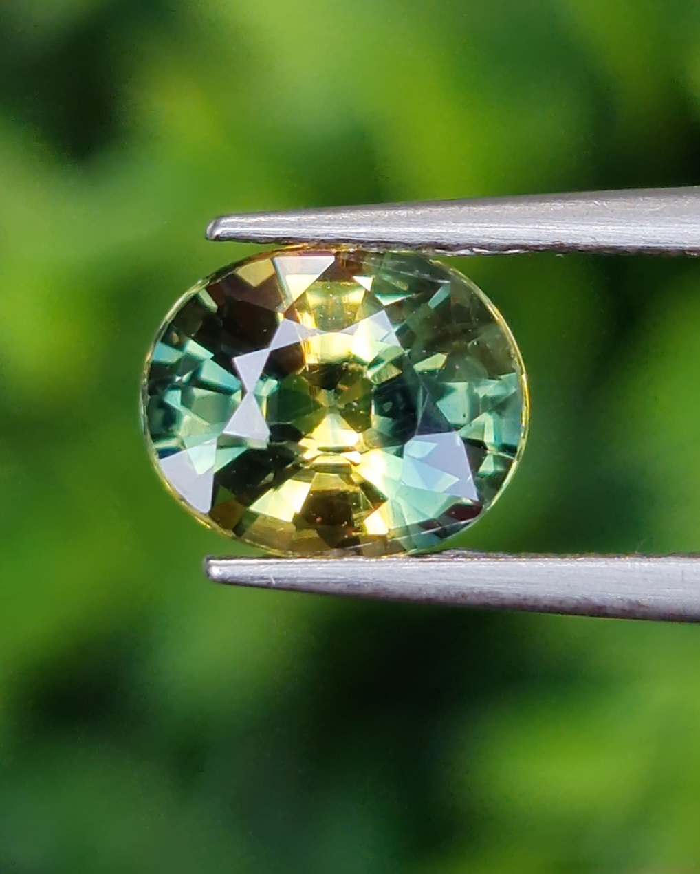 พลอย แซฟไฟร์ 2 สี Bi Color Sapphire 1.51 กะรัต (Cts.) พลอยแท้ อัญมณีมงคลประจําวันเกิด เครื่องประดับพลอย