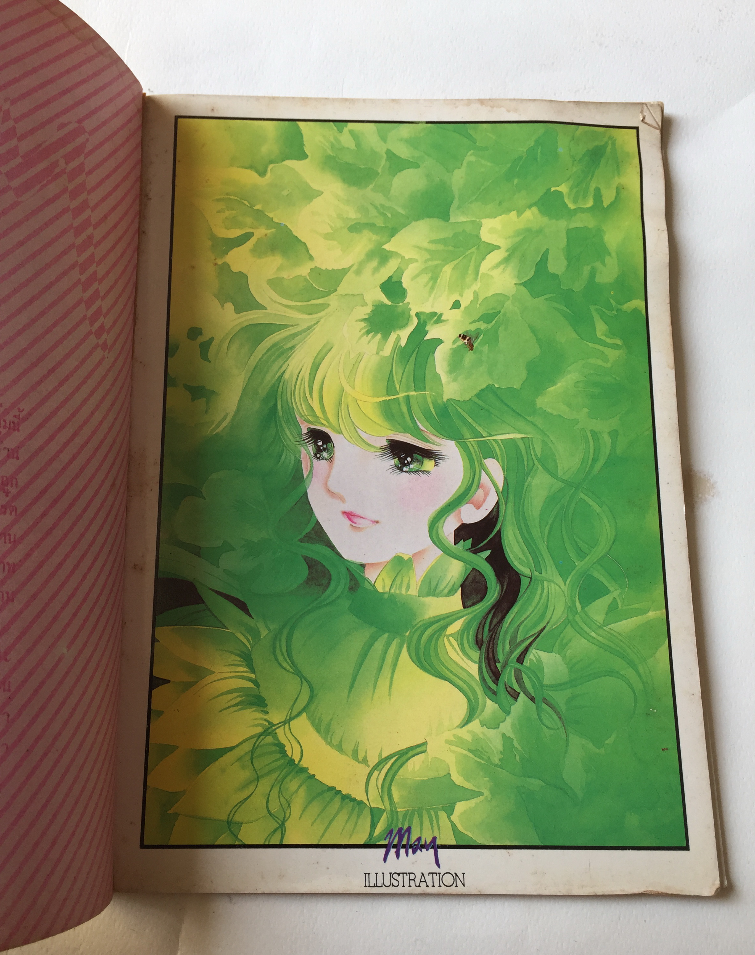 หนังสือภาพเก่า May Illustrations ภาพการ์ตูนสวย ภาพสีทั้งเล่ม ลายเส้นจาก คุณเมย์ ***แต่ละแผ่นหลุดจากสัน มีรอย ตามภาพ ผลงานโดย May, Present โดย Main Point ชุดที่ 1 ปี 1986