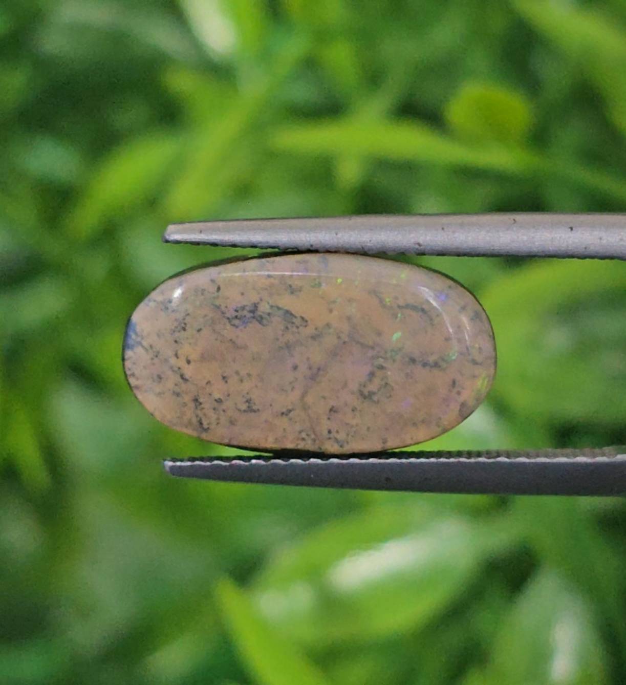 พลอย โบลเดอร์ โอปอล ออสเตรเลีย Australian Boulder Opal 7.18 กะรัต (Cts.) พลอยแท้ อัญมณีมงคลประจําวันเกิด เครื่องประดับพลอย