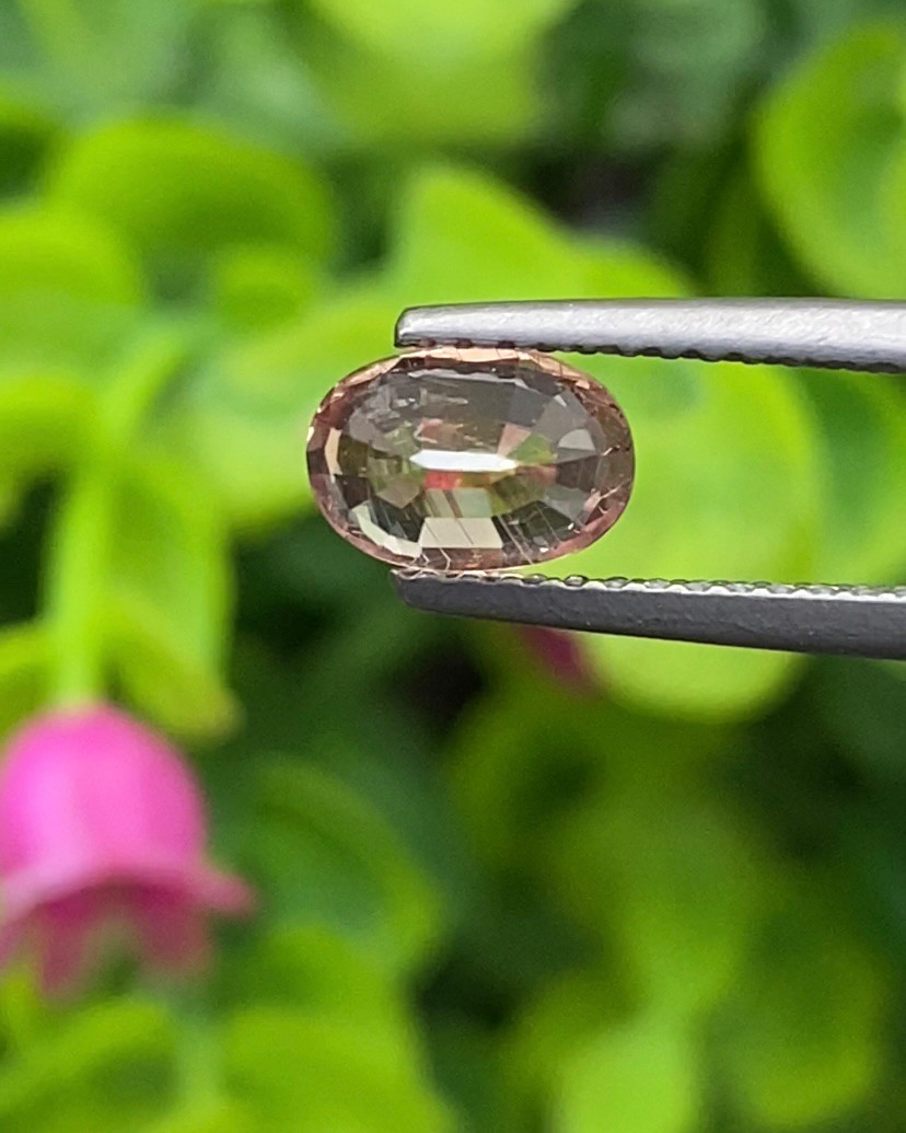 พลอย คัลเลอร์เชนจ์ แซฟไฟร์ Color Change Sapphire 1.19 กะรัต (Cts.) ดิบ พร้อมใบเซอร์ พลอยแท้ อัญมณีมงคลประจําวันเกิด เครื่องประดับพลอย