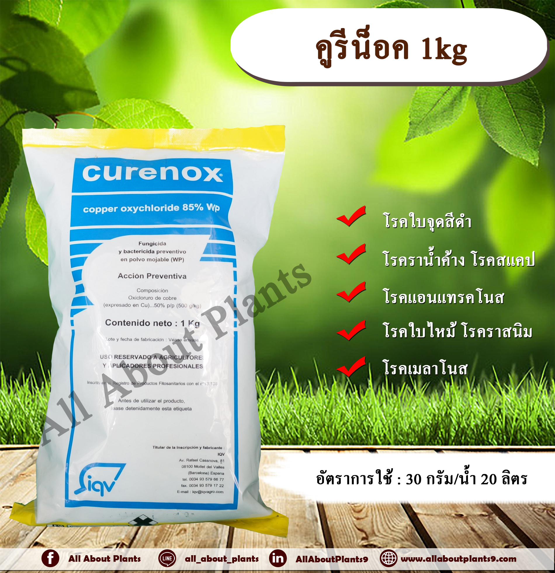 คูรีน็อค 1kg. คอปเปอร์ออกซีคลอไรด์ สารกำจัดโรคเชื้อราและแบคทีเรีย โรคแคงเคอร์ โรคพืช โรคแคงเกอร์มะนาว ส้ม allaboutplants ชิ้น