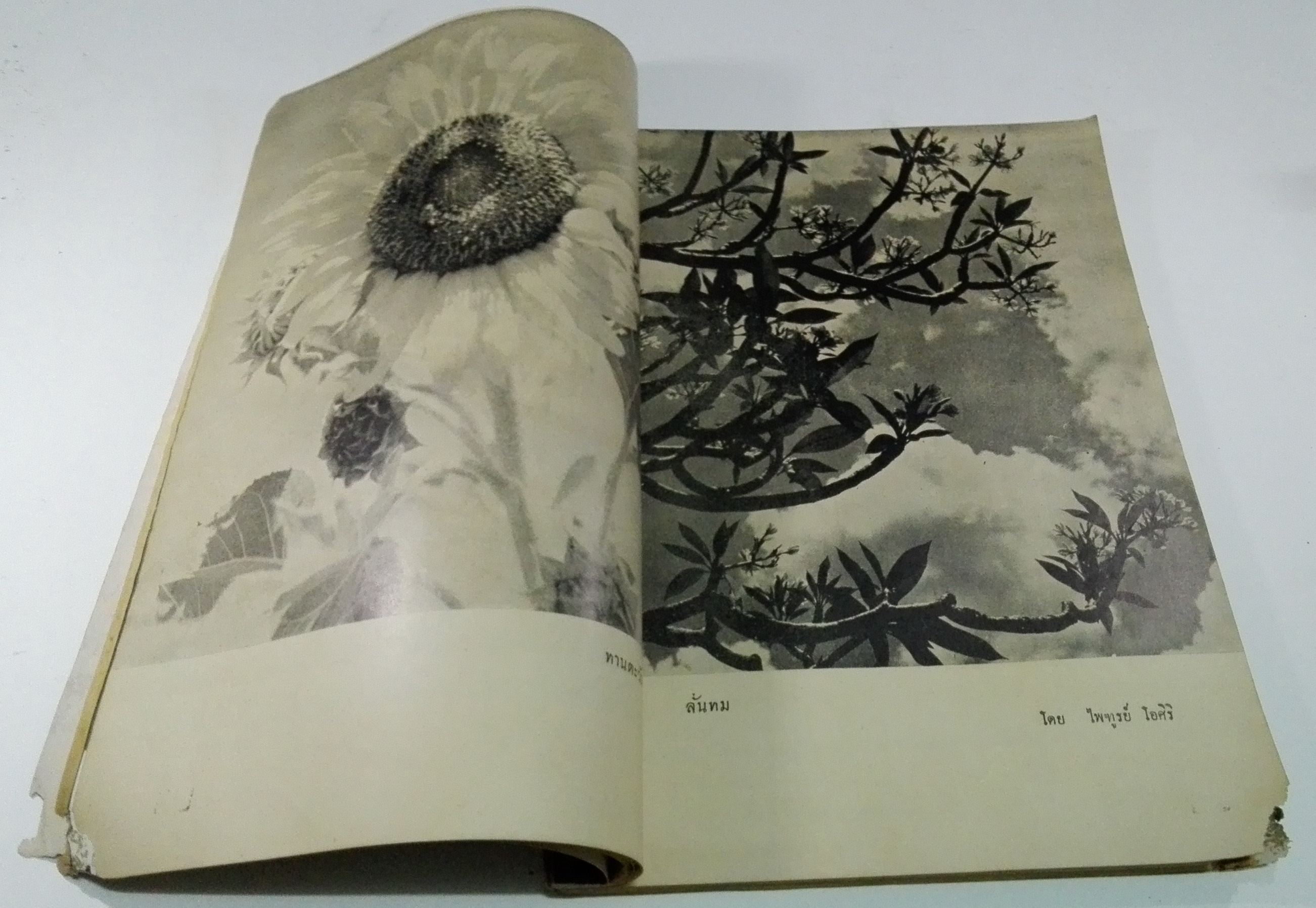 นิตยสารเก่า "ชาวกรุง เดือน พฤษภาคม ปี 2499" ภาพปก โดย พนม **นิตยสารเก่ามีตำหนิ โปรดตรวจสอบทุกภาพ เรื่องเก่าเล่าอดีตที่น่าสนใจ นักเขียนรุ่นเก่าผู้ทรงคุณวุฒิ ภาพถ่ายเก่าพร้อมเรื่องราวบนกระดาษมัน และกระดาษปรู๊ฟเก่า และที่น่าสะสมสำหรับผู้รักลายเส้นก