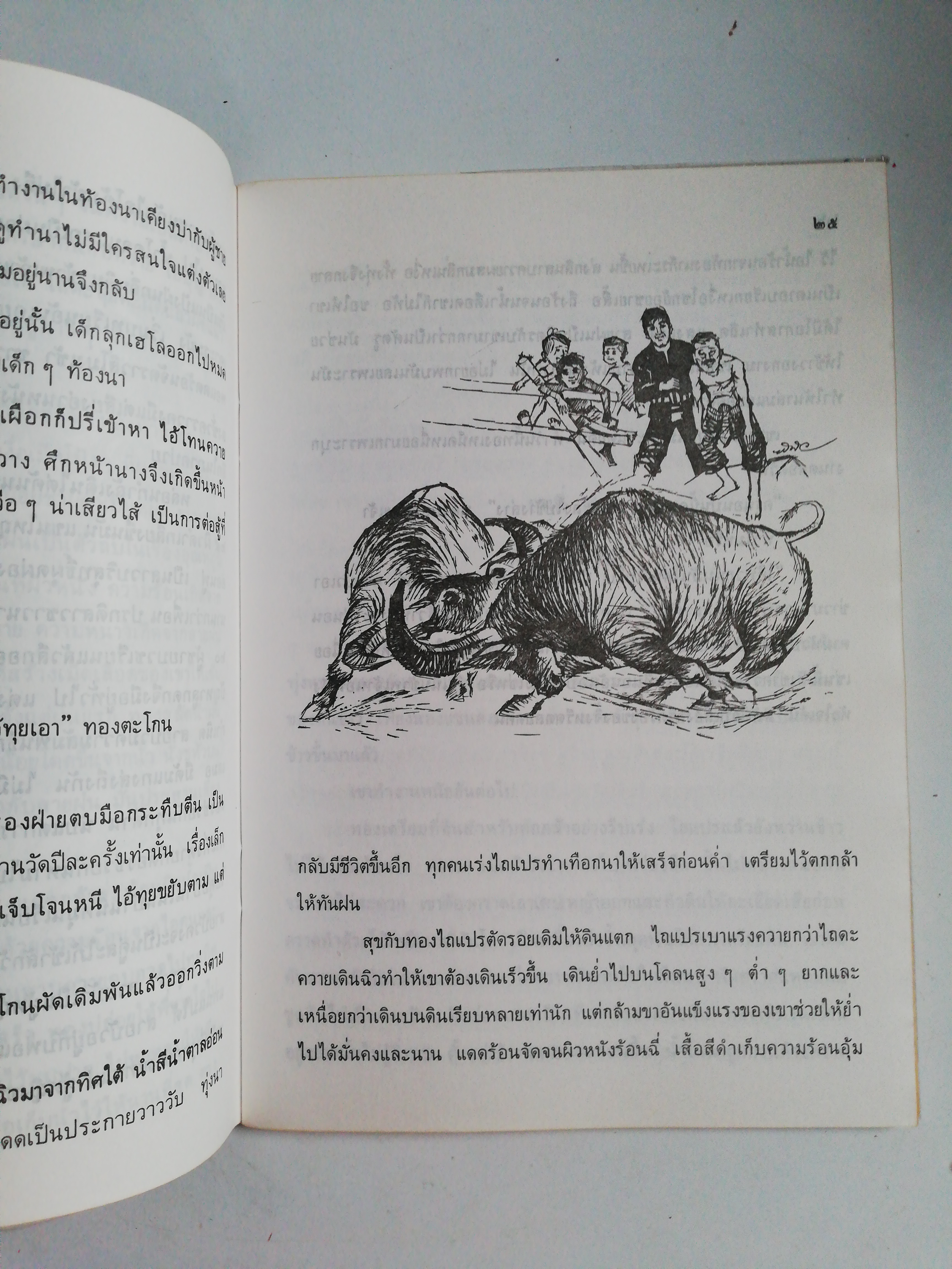 หนังสือเรียนเก่า พ. ศ. 2542** หนังสือห่อปกพลาสติกมีรอยหน้าแรกและหน้าสุดท้ายตามลักษณะการห่อปก หนังสือส่งเสริมการอ่านระดับมัธยมศึกษา, 'เรื่องหนุ่มชาวนา'เรียบเรียงโดย นิมิตร ภูมิถาวร
