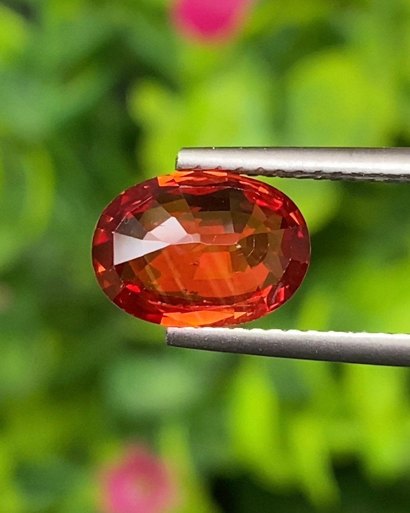 พลอย ทับทิม ซองเจีย Ruby Sapphire 2.66 กะรัต (Cts) พลอยแท้ อัญมณีมงคลประจําวันเกิด เครื่องประดับพลอย