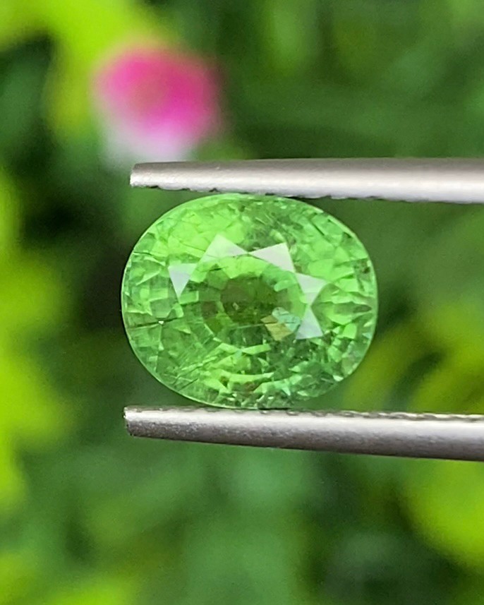 พลอย ทัวร์มาลีน Tourmaline 2.61 กะรัต (Cts.) พลอยแท้อัญมณีมงคล ประจําวันเกิด เครื่องประดับพลอย