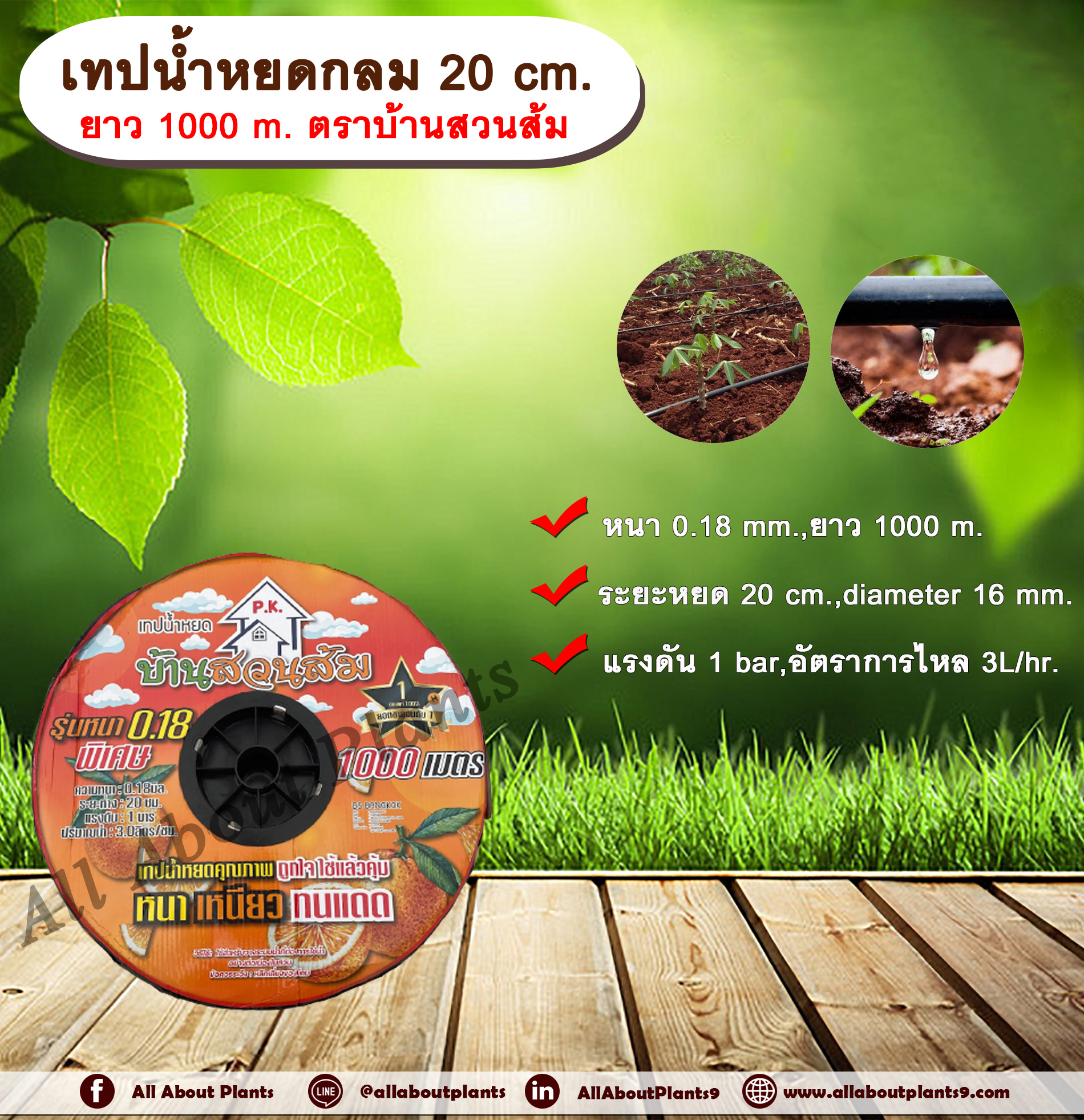 เทปน้ำหยด 20 cm. ยาว 1000 m. ตราบ้านสวนส้ม เทปน้ำหยด สายน้ำหยด แบบกลม แบบกิ๊ป ระยะห่างรู 20 cm. หนา 0.18 mm. ยาว 1000 m. Drip Tape ชิ้น