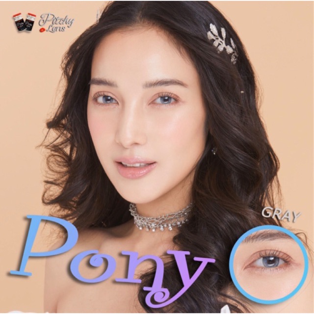 Pitchy lens สีเทา ทันสมัย สวย เฉียบ เก๋