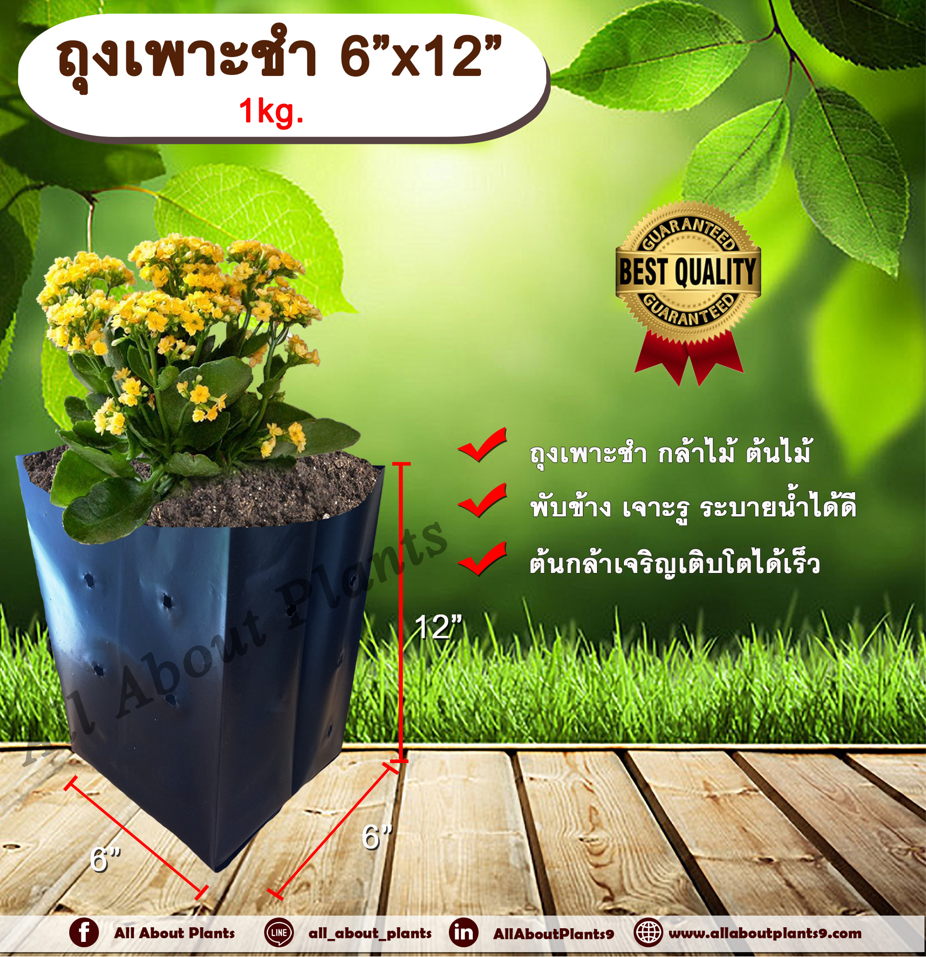 ถุงเพาะชำ 6”x12” 1 kg. ถุงเพาะชำสีดำ ถุงเพาะชำกล้าไม้ ต้นไม้ ถุงดำ allaboutplants ชิ้น