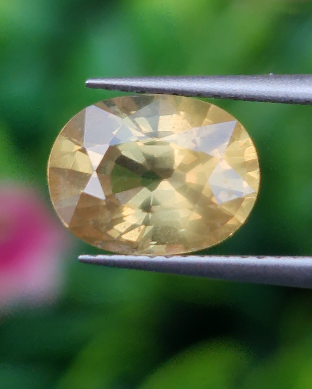 พลอย บุษราคัม yellow sapphire 2.39 กะรัต (Cts.) ดิบ พร้อมใบเซอร์ พลอยแท้ อัญมณีมงคลประจําวันเกิด เครื่องประดับพลอย