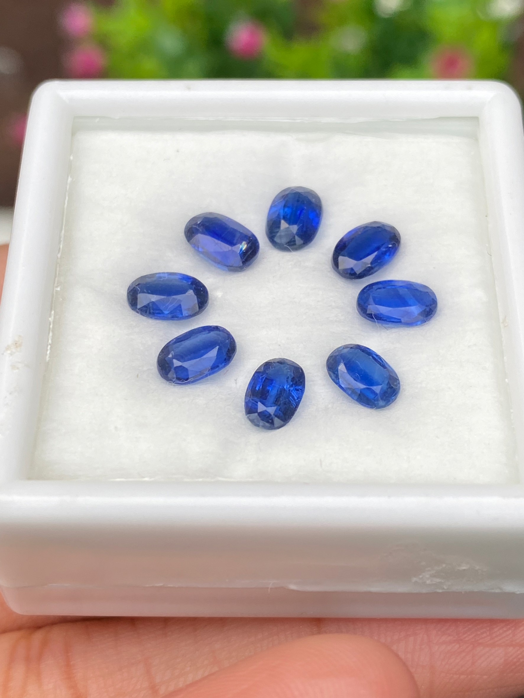 พลอย ไคยาไนต์ Kyanite 5.00 กะรัต (Cts.) 8 เม็ด พลอยแท้ อัญมณีมงคลประจําวันเกิด เครื่องประดับพลอย