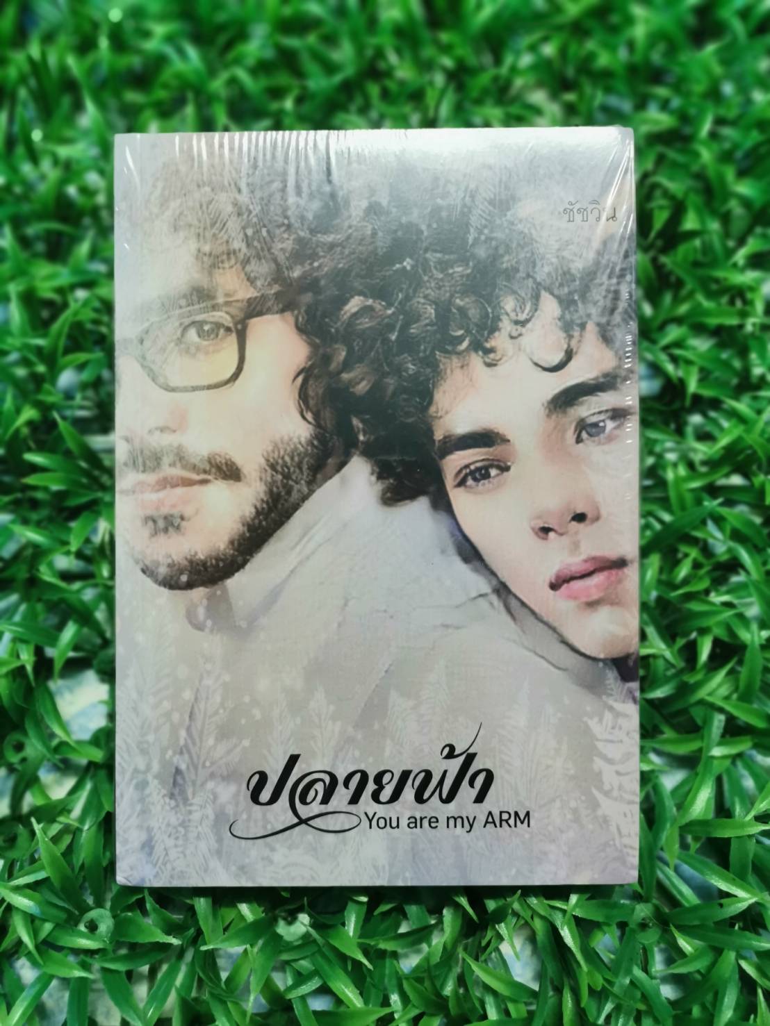หนังสือใหม่ มือ 1 ปลายฟ้า YOU ARE MY ARM
