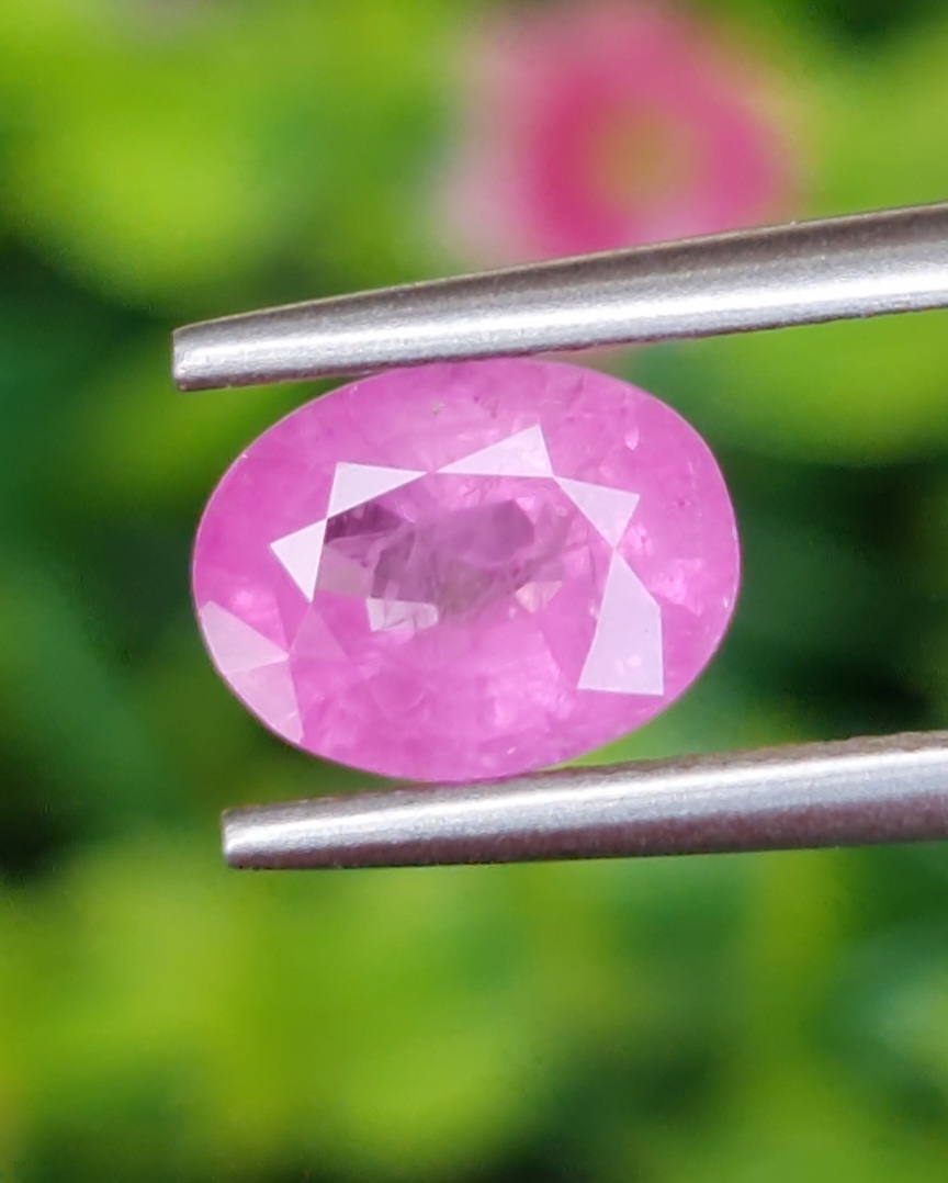 พลอย ชมพู พิ้ง แซฟไฟร์ Pink Sapphire 1.48 กะรัต (Cts.) พลอยแท้ อัญมณีมงคลประจําวันเกิด เครื่องประดับพลอย