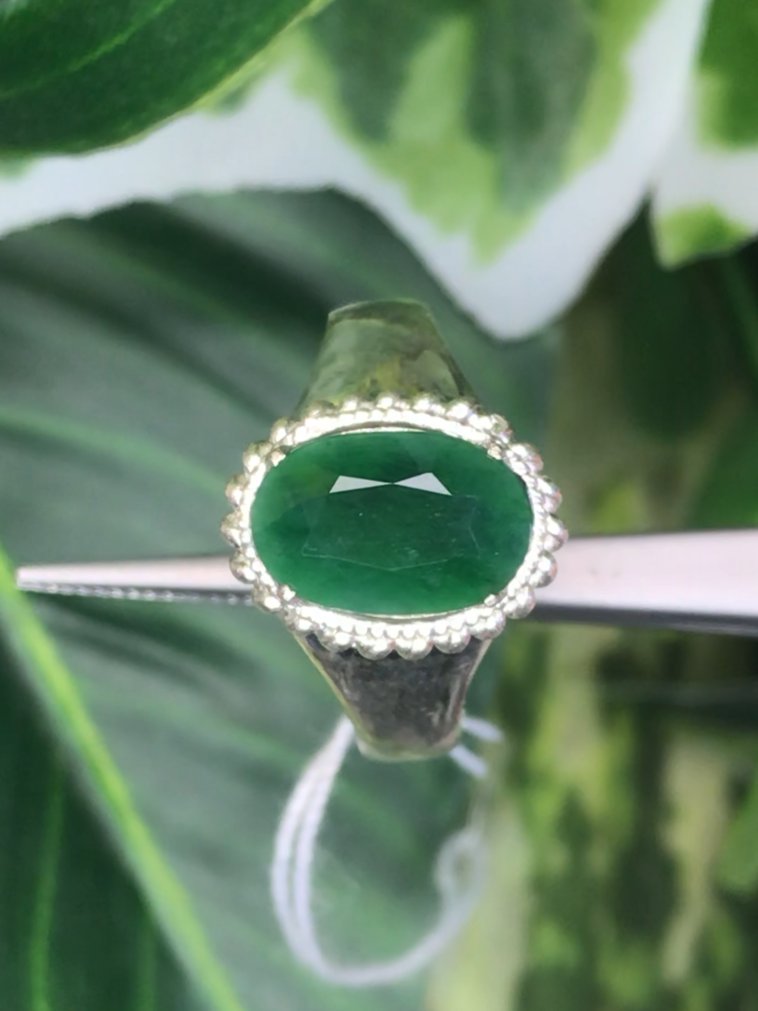 หยก พม่า แท้ Jade แหวนหยก 翡翠戒指 (Jadeite ring) ดิบ (Size) 55 ไม่ผ่านการปรับปรุง (Type A) พม่า (Myanmar)