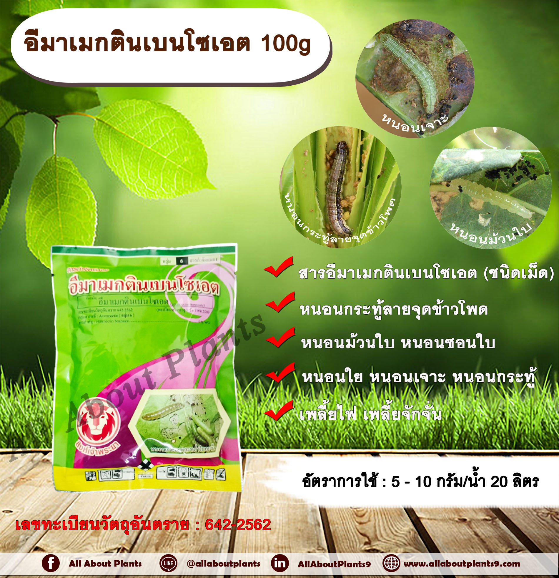 อีมาเมกตินเบนโซเอต 100g. อีมาเมกตินเบนโซเอต สารกำจัดแมลง สารกำจัดหนอน หนอนกระทู้ลายจุดข้าวโพด หนอนม้วนใบ หนอนชอนใบ หนอนเจาะ หนอนกระทู้ เพลี้ยไฟ เพลี้ยจักจั่น ชิ้น