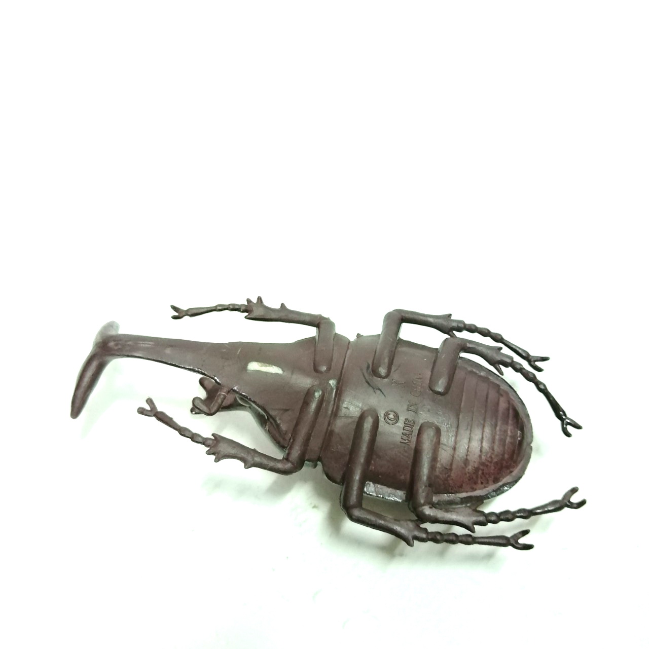 ชุดแมลงยางตัน ด้วงเขากวาง เขาเดียว ขนาดตามรูป สภาพดี