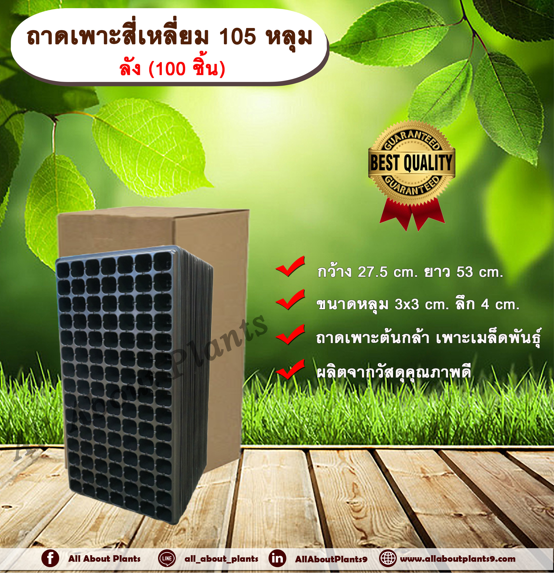 ถาดเพาะสี่เหลี่ยม 105 หลุม ลัง (100 ชิ้น) ถาดเพาะต้นกล้า ถาดเพาะเมล็ดพันธุ์ ขนาด 105 หลุม allaboutplants ชิ้น