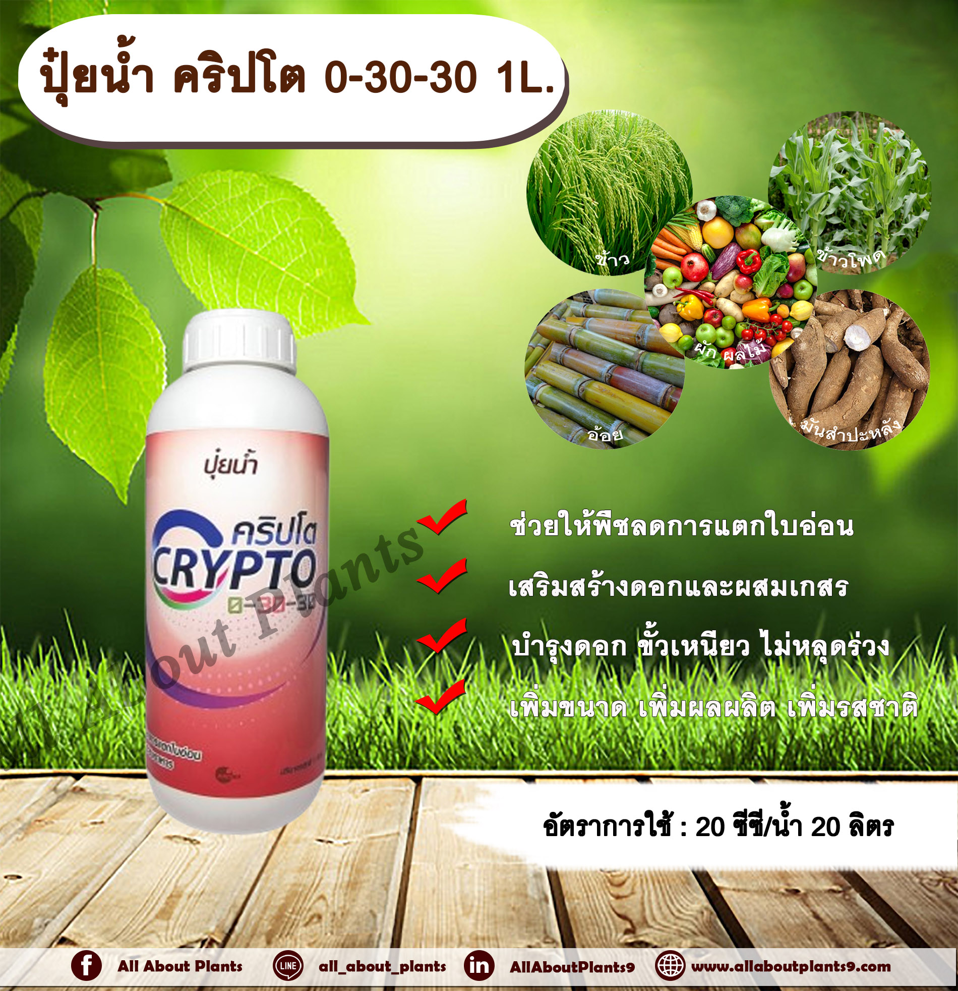 คริปโต 0-30-30 1L. ช่วยให้พืชลดการแตกใบอ่อน เสริมสร้างดอก ผสมเกสร บำรุงดอก ขั้วเหนียว ลดการหลุดร่วงเพิ่มขนาด เพิ่มผลผลิต เพิ่มรสชาติ ปุ๋ยน้ำ ปุ๋ยNPK ปุ๋ยน้ำNPK allaboutplants ชิ้น