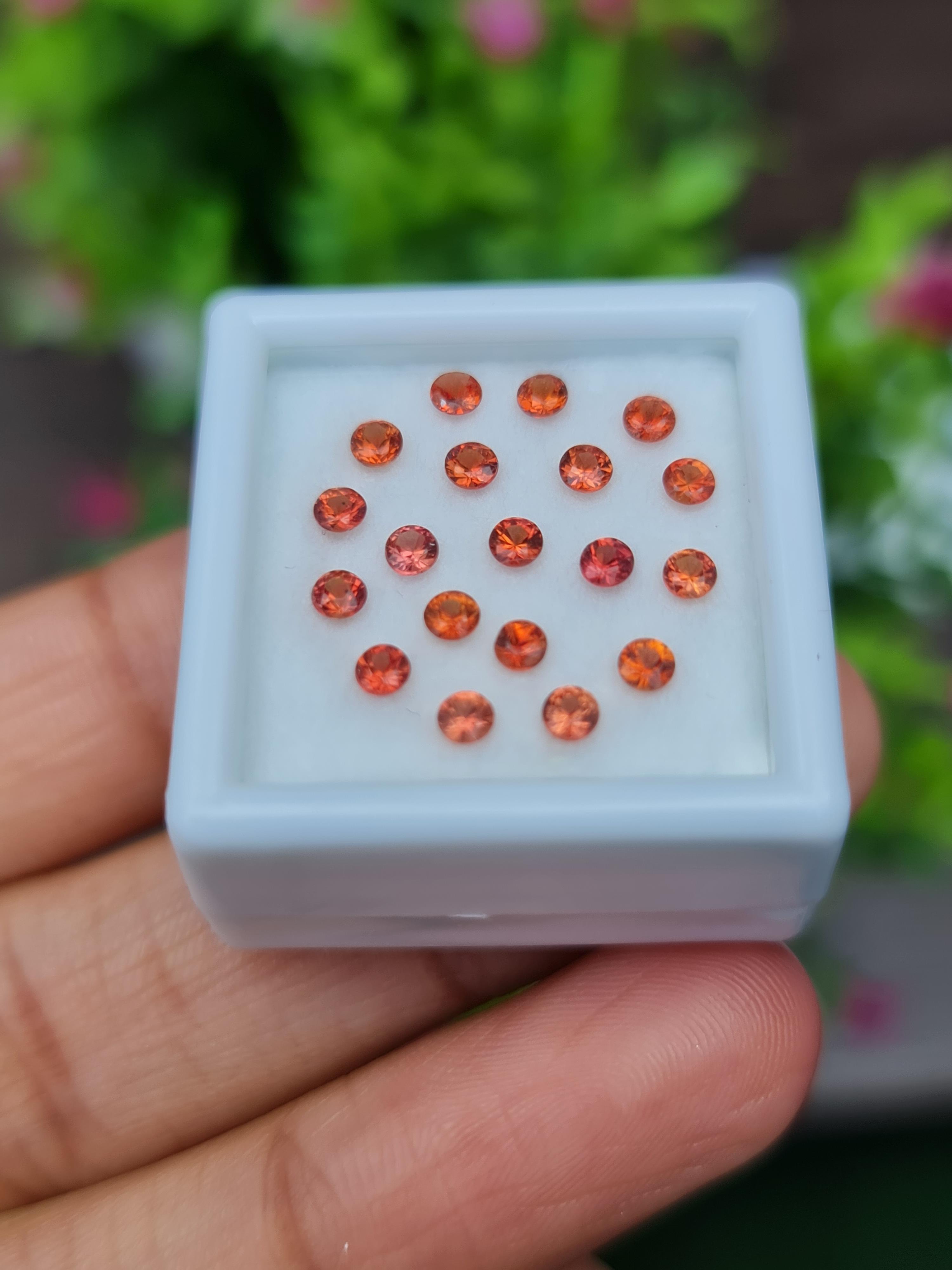 พลอย ซองเจีย แซฟไฟร์ Songea Sapphire 19 เม็ด 1.60 กะรัต (Cts.) พลอยแท้ อัญมณีมงคลประจําวันเกิด เครื่องประดับพลอย