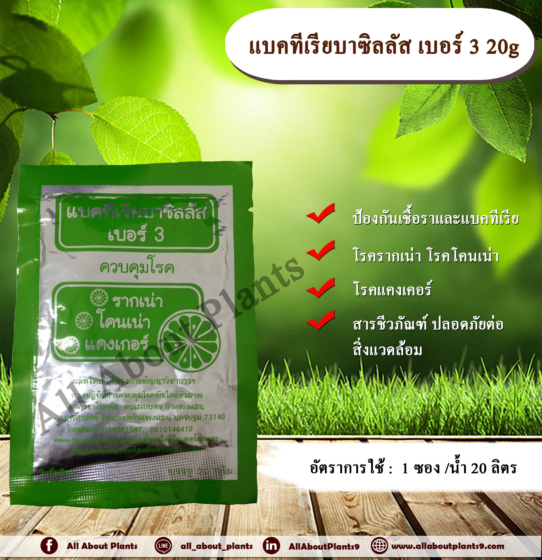 แบคทีเรียบาซิลลัส เบอร์ 3 ขนาด 20g. สารกำจัดเชื้อราและแบคทีเรีย โรครากเน่า โรคโคนเน่า โรคแคงเคอร์ สารชีวภัณฑ์allaboutplants ชิ้น