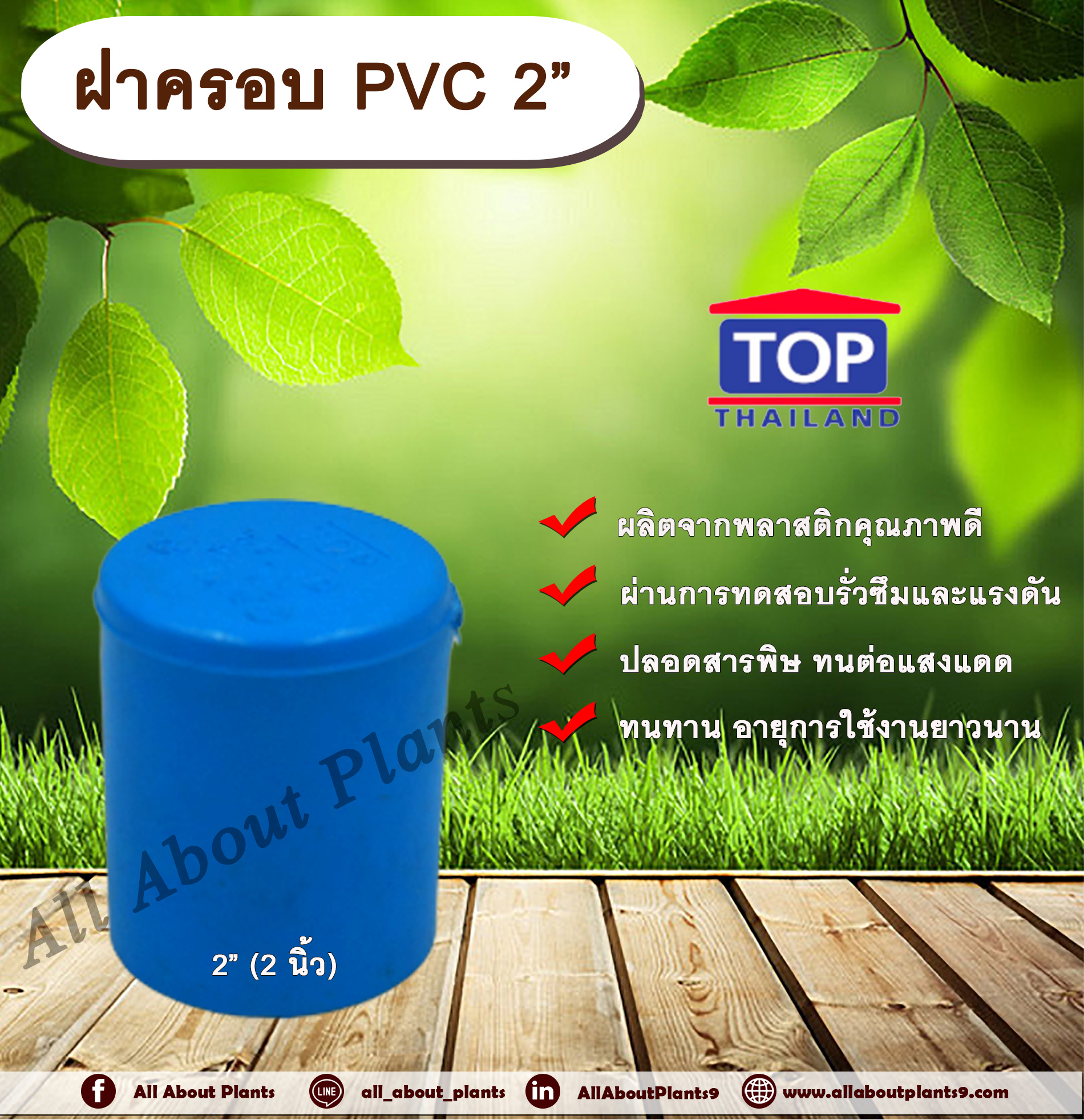 ฝาครอบ PVC ตรา TOP 2”(2นิ้ว) ฝาครอบท่อPVC ขนาด 2นิ้ว ตัวอุดท่อ ฝาปิดท่อพีวีซี allaboutplants ชิ้น