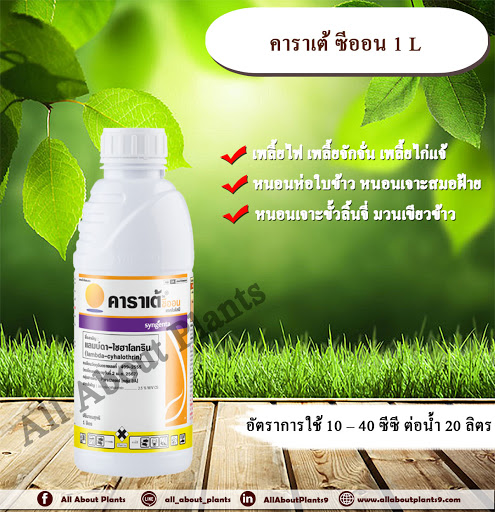 คาราเต้ ซีออน 1L. แลมบ์ดาไซฮาโลทริน สารกำจัดแมลง กำจัดหนอน หนอนห่อใบข้าว หนอนเจาะ กำจัดเพลี้ย น็อคเย็น ซินเจนทา allaboutplants ขวด